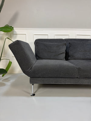 Gebrauchtes graues Stoffsofa Brühl Modell Moule Small vor einer modernen Wand