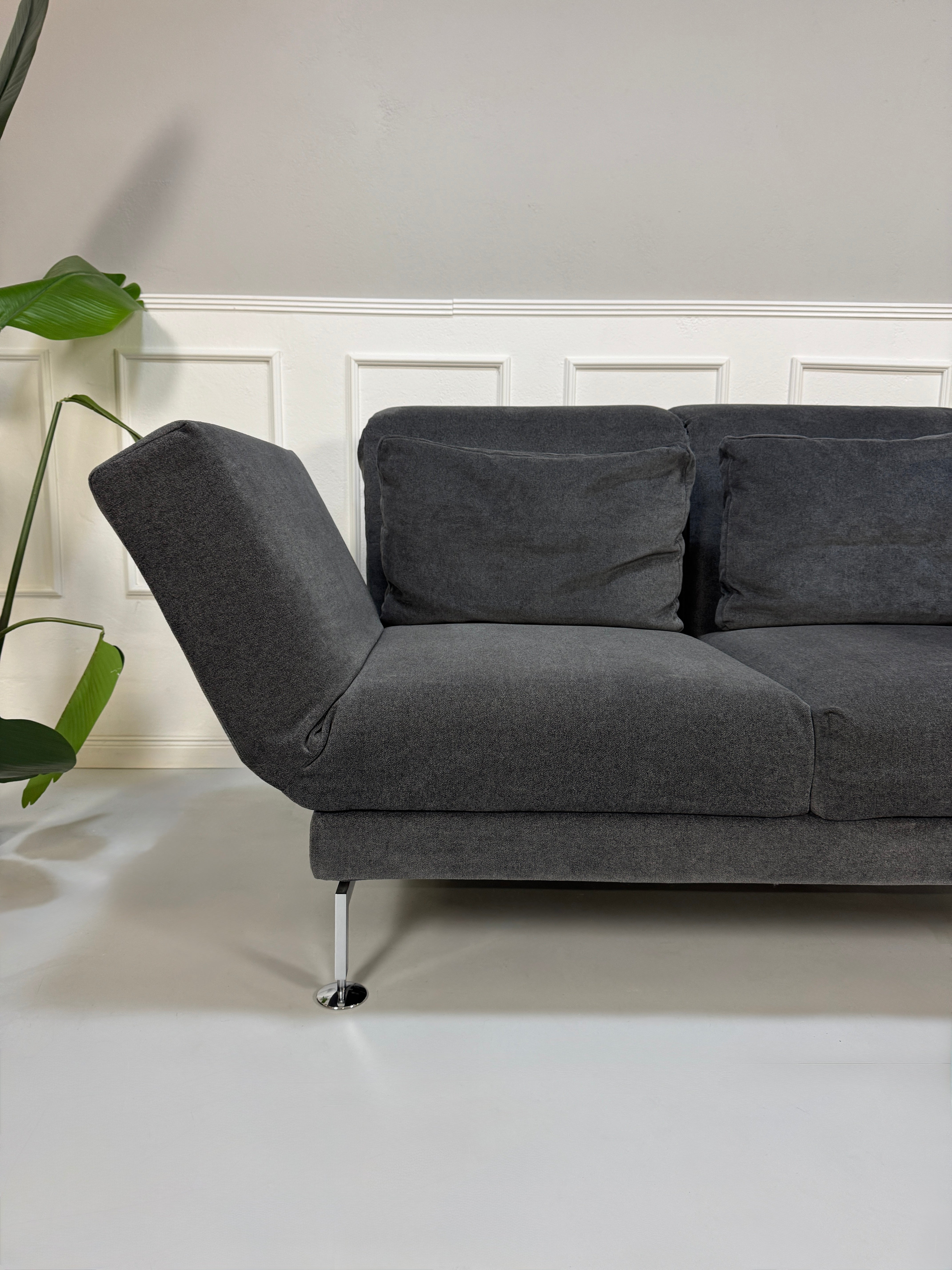 Gebrauchtes graues Stoffsofa Brühl Modell Moule Small vor einer modernen Wand