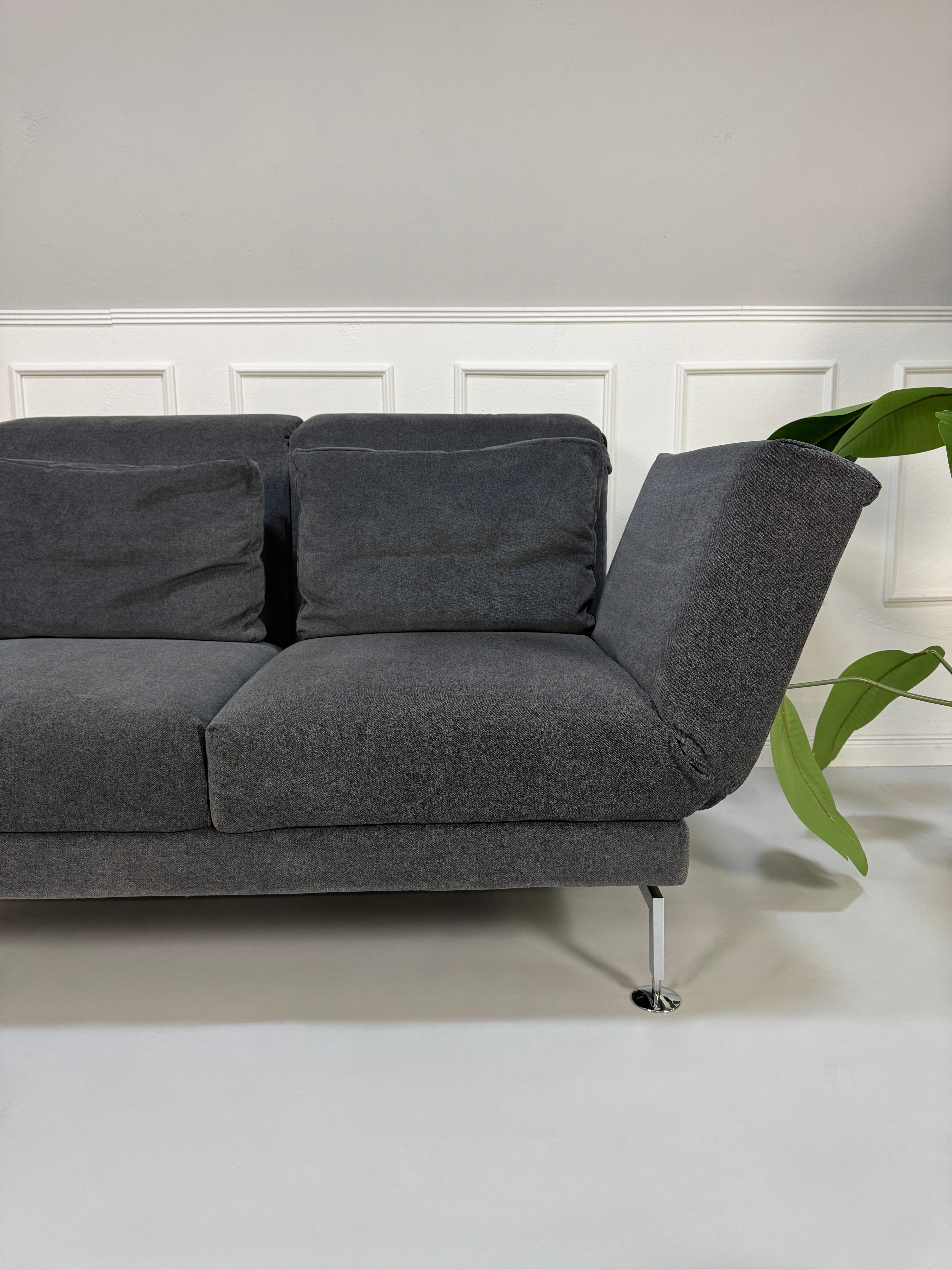 Gebrauchtes graues Stoffsofa Brühl Modell Moule Small vor einer modernen Wand
