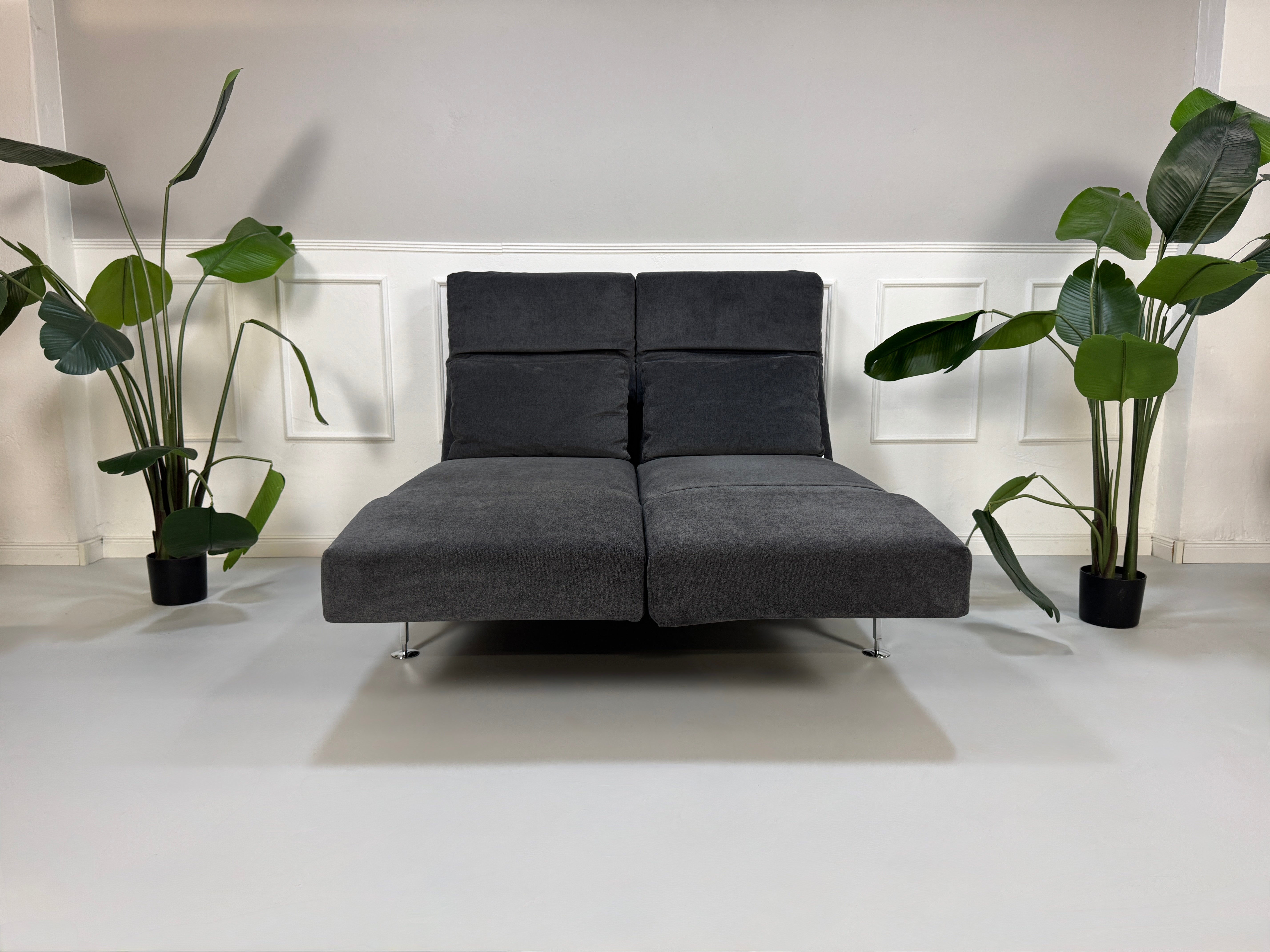 Gebrauchtes graues Stoffsofa Brühl Modell Moule Small vor einer modernen Wand