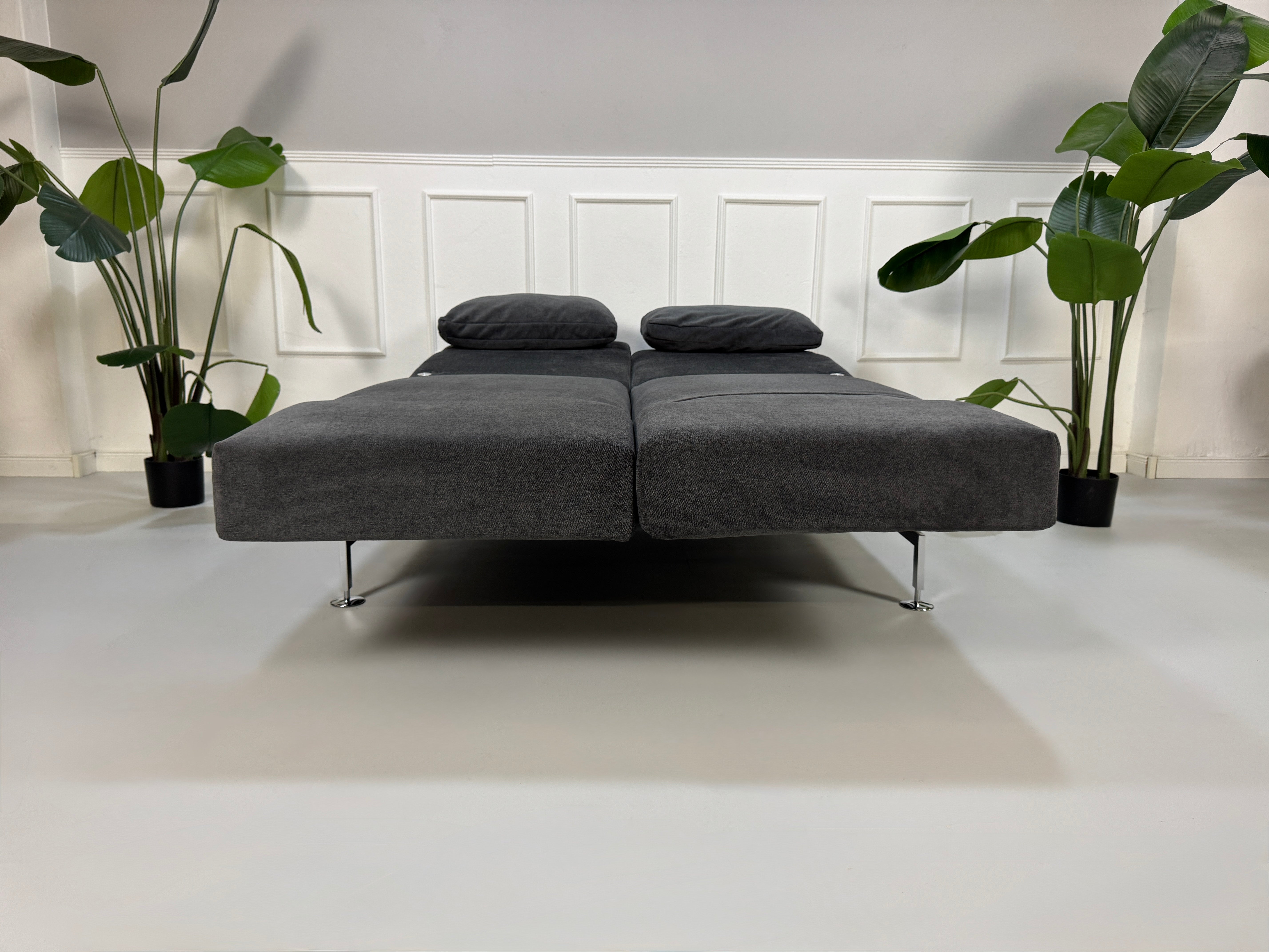 Gebrauchtes graues Stoffsofa Brühl Modell Moule Small vor einer modernen Wand