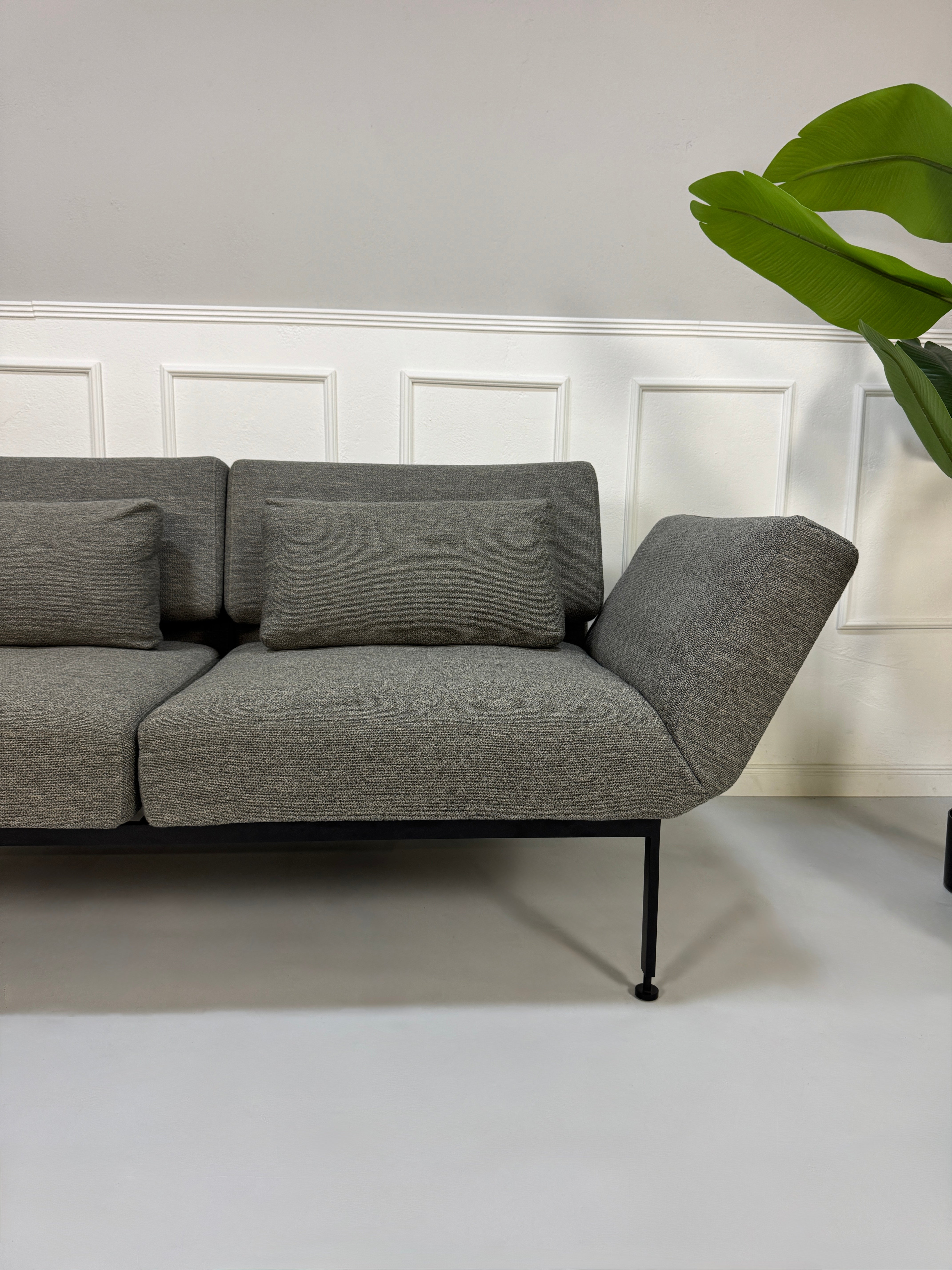Gebrauchtes graues Stoffsofa Brühl Modell Roro Soft vor einer modernen Wand.