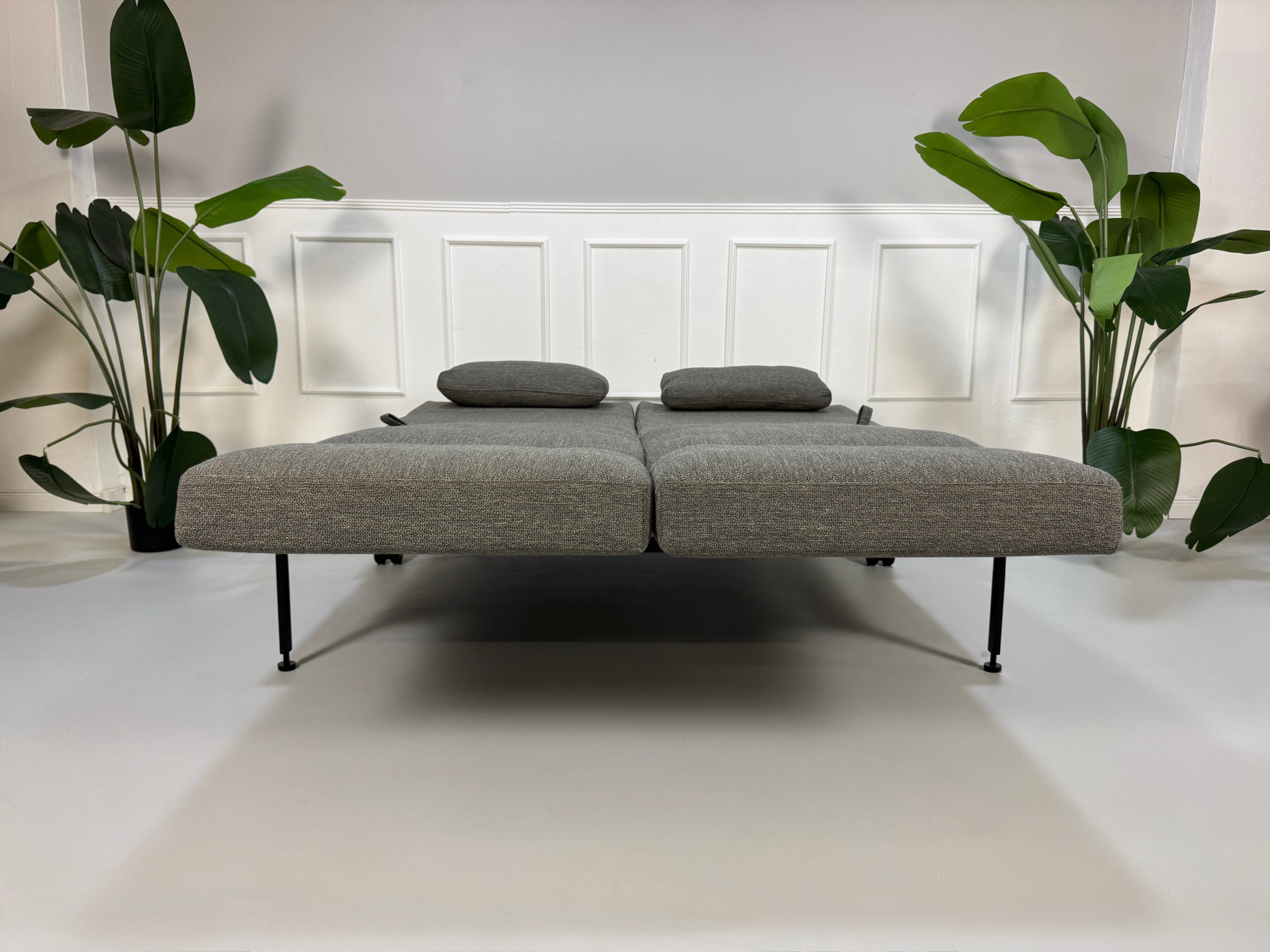 Gebrauchtes graues Stoffsofa Brühl Modell Roro Soft vor einer modernen Wand.