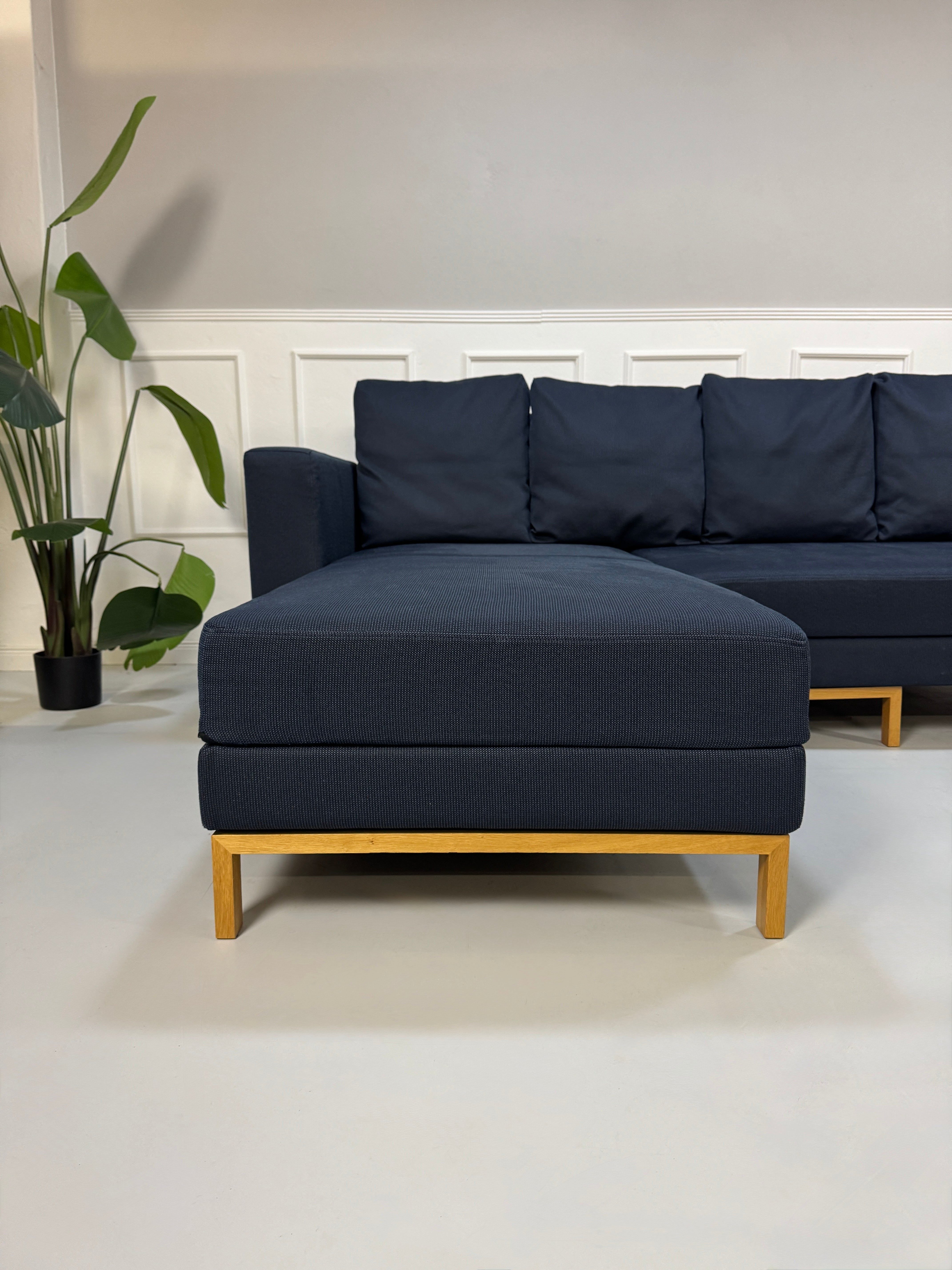Gebrauchtes blaues Stoffsofa Brühl Modell Fourtwo vor einer modernen Wand.