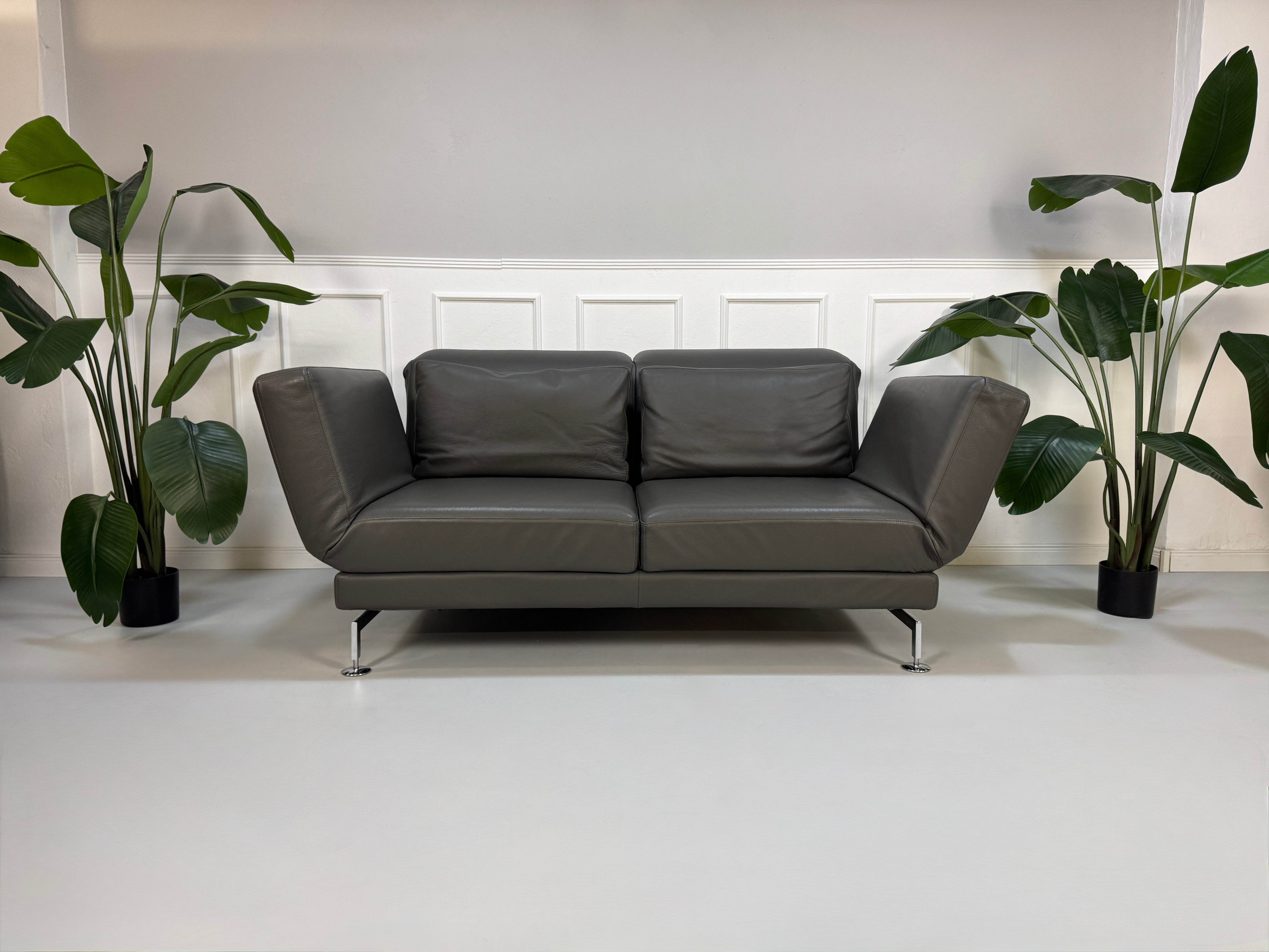 Gebrauchtes graues Brühl Moule Designer Leder Sofa vor einer Wand, stilvoll und modern eingerichtet.