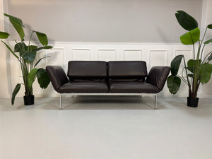 Gebrauchtes Brühl Roro Designer Leder Sofa in der Farbe Braun vor einer Wand, stilvoll und modern eingerichtet.