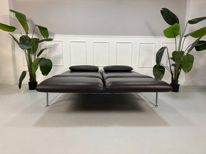 Gebrauchtes Brühl Roro Designer Leder Sofa in der Farbe Braun vor einer Wand, stilvoll und modern eingerichtet.