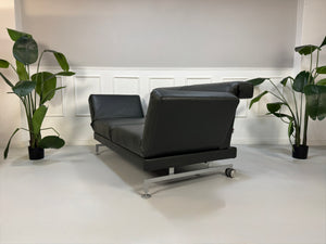 Gebrauchtes Brühl Moule Designer Leder Sofa in der Farbe Grau vor einer Wand, stilvoll und modern eingerichtet.