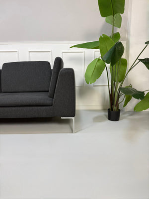 Refurbished graues B&B Italia Charles Designer Stoff Sofa vor einer Wand, stilvoll und modern eingerichtet.