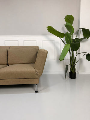 Gebrauchtes beiges Brühl Moule Designer Stoff Sofa vor einer Wand, stilvoll und modern eingerichtet.