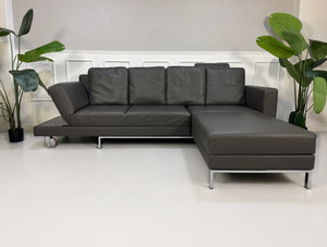 Ausstellungsstück Brühl Four Two Designer Leder Sofa vor einer Wand, stilvoll und modern eingerichtet.