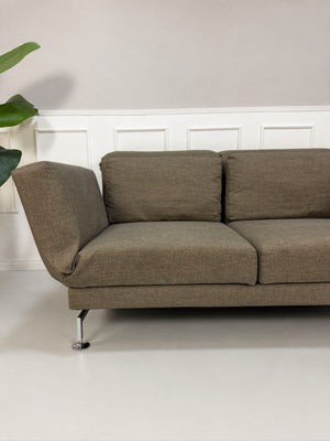 Gebrauchtes braunes Brühl Moule Designer Stoff Sofa vor einer Wand, stilvoll und modern eingerichtet.