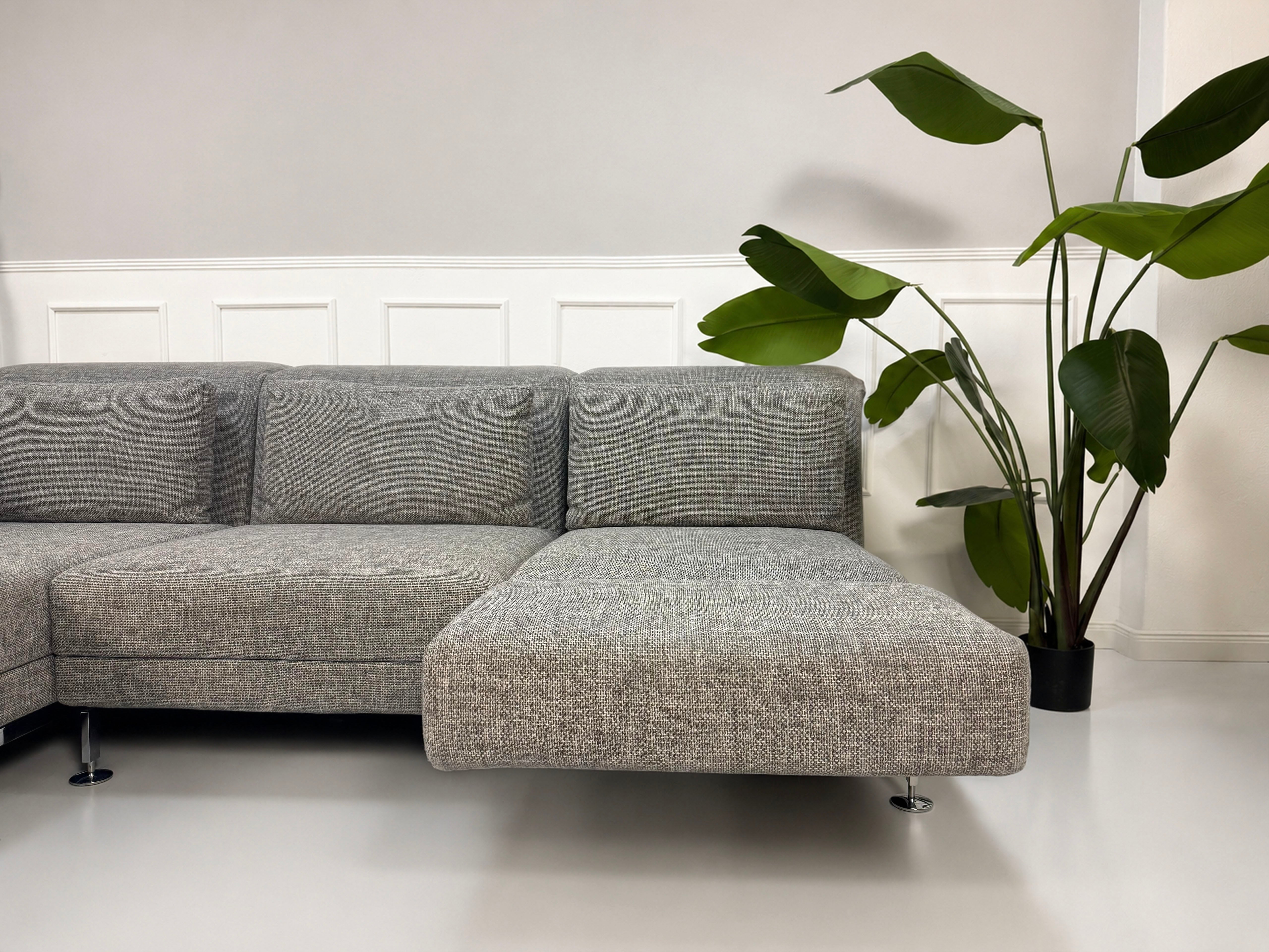 Gebrauchtes graues Brühl Designer Stoff Sofa vor einer Wand, stilvoll und modern eingerichtet.