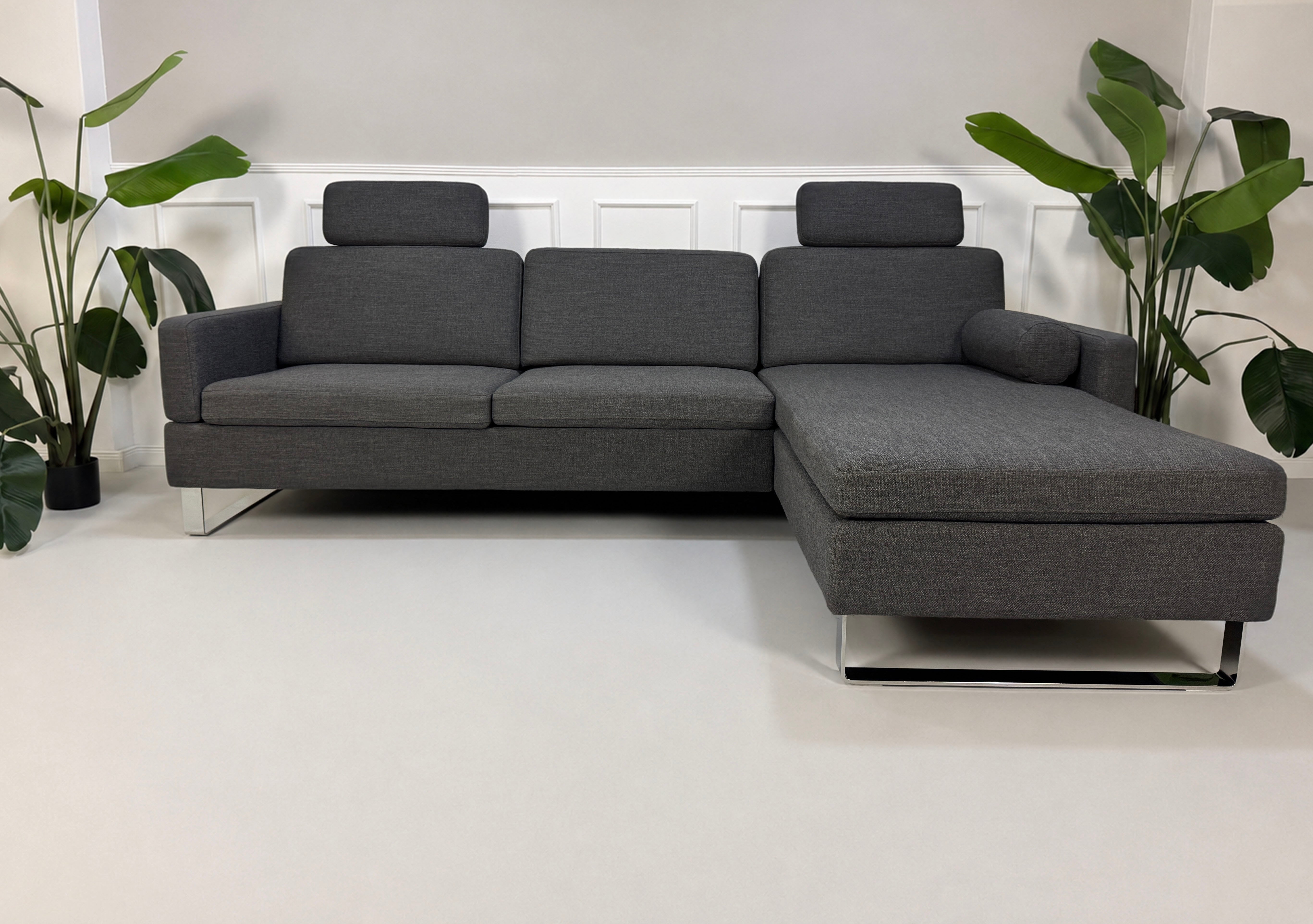 Gebrauchtes graues Brühl Alba Designer Stoff Sofa vor einer Wand, stilvoll und modern eingerichtet.
