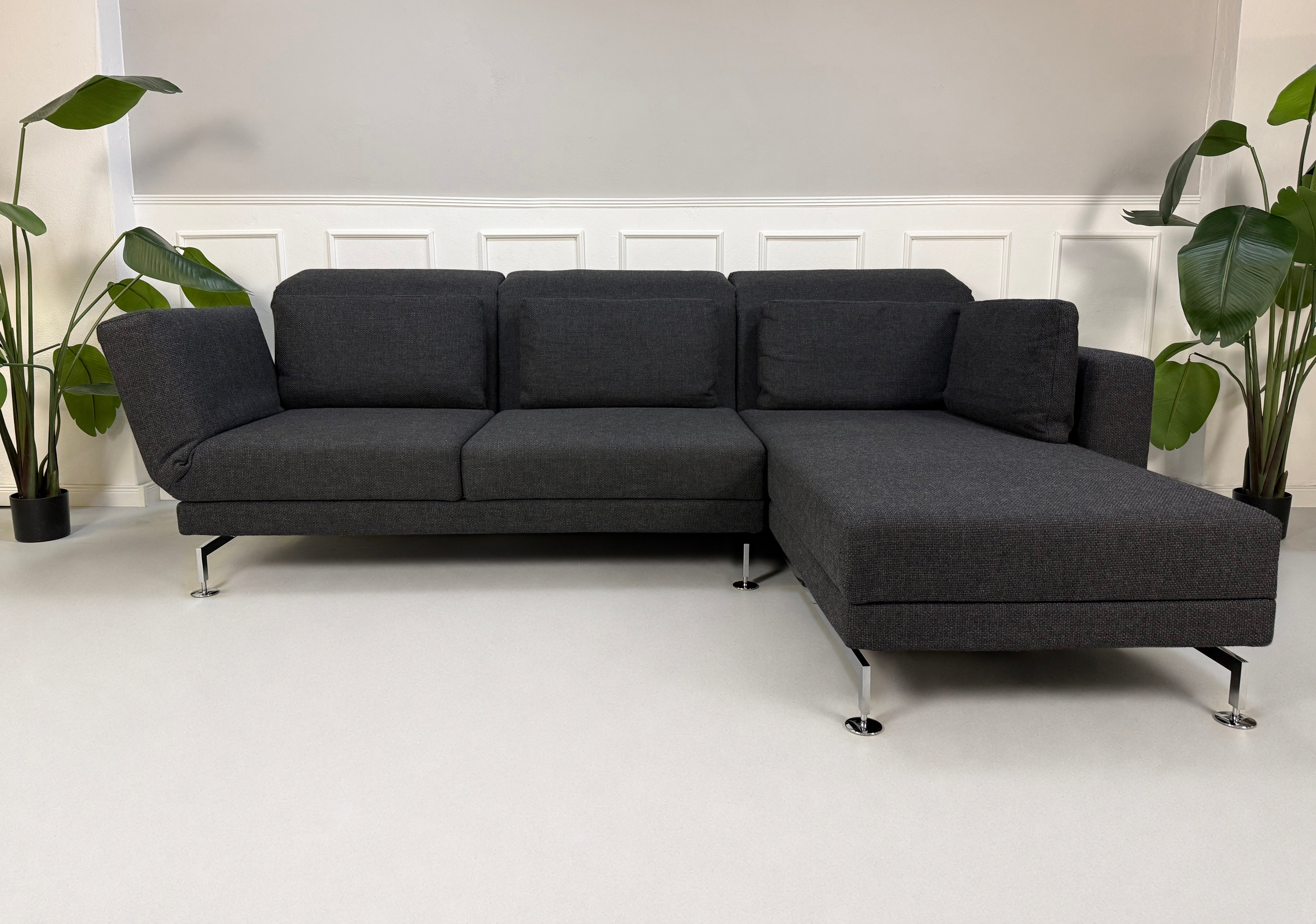 Gebrauchtes graues Brühl Moule Designer Stoff Sofa vor einer Wand, stilvoll und modern eingerichtet.