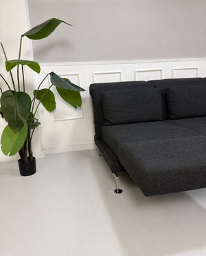 Gebrauchtes graues Brühl Moule Designer Stoff Sofa vor einer Wand, stilvoll und modern eingerichtet.