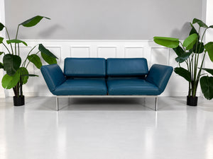 Gebrauchtes blaues Brühl Roro Medium Designer Leder Sofa vor einer Wand, stilvoll und modern eingerichtet.