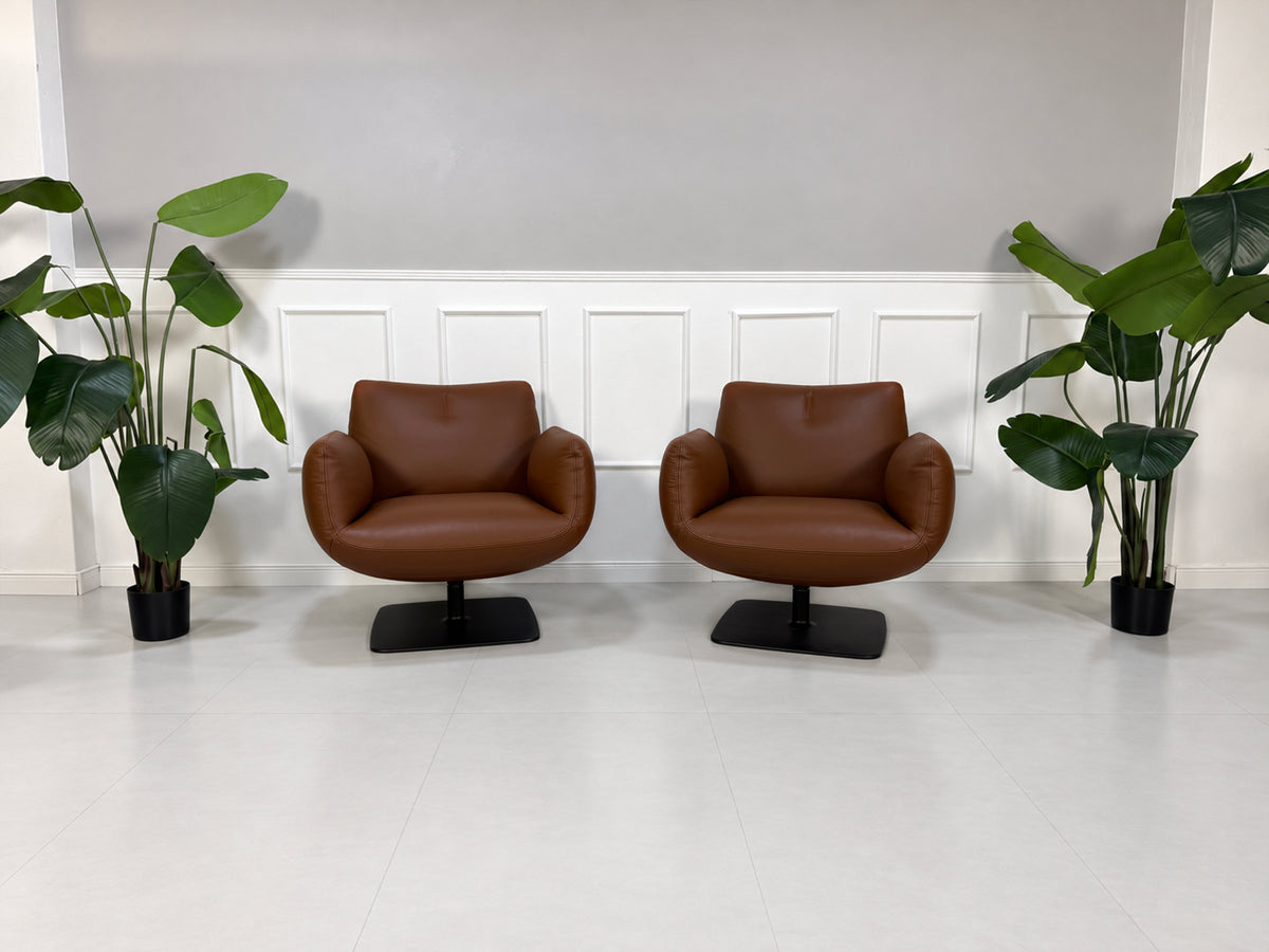 Gebrauchter brauner COR Jalis Designer Leder Sessel vor einer Wand, stilvoll und modern eingerichtet.