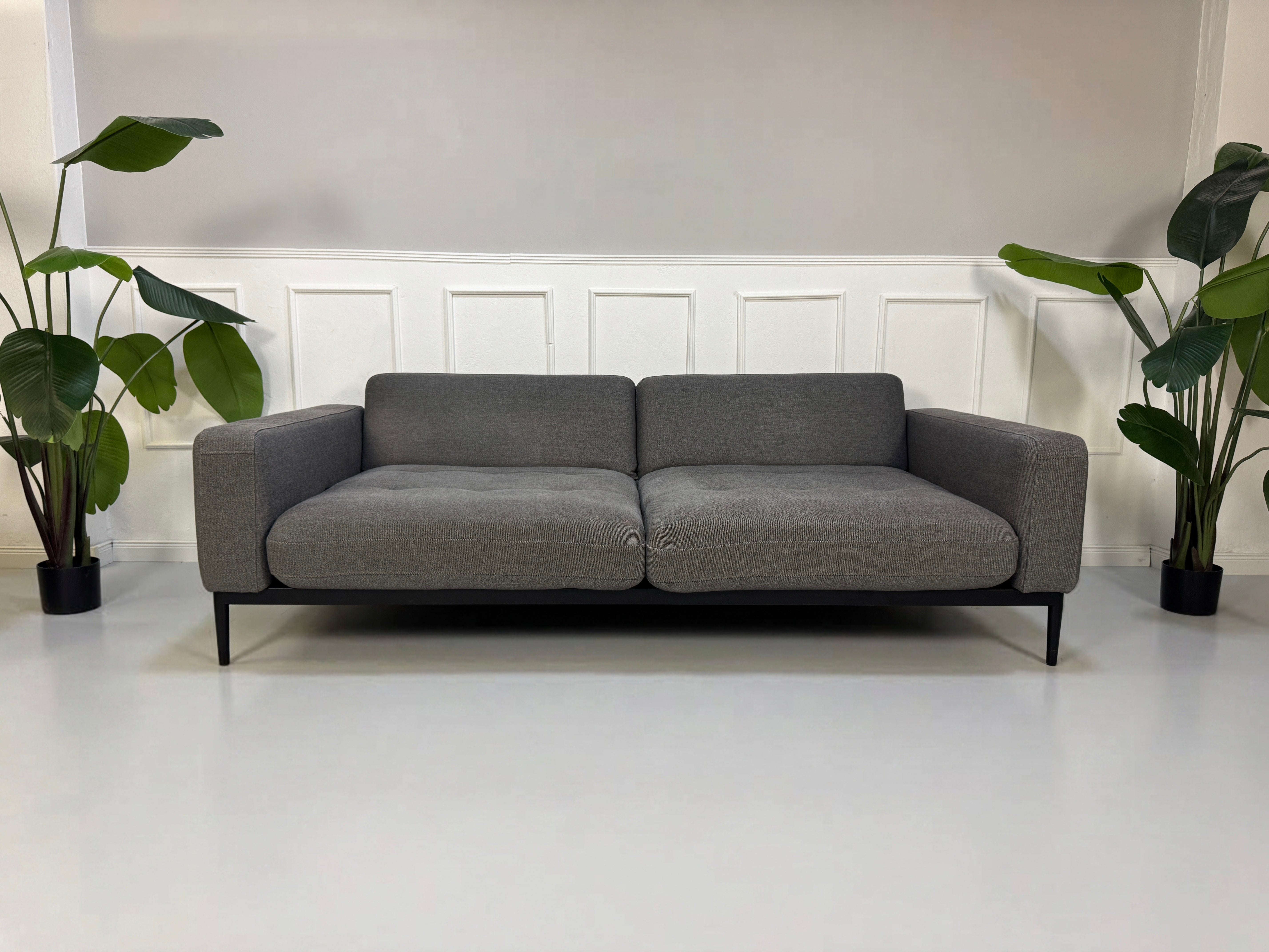 Gebrauchtes graues Rolf Benz Tira Designer Stoff Sofa vor einer Wand, stilvoll und modern eingerichtet.
