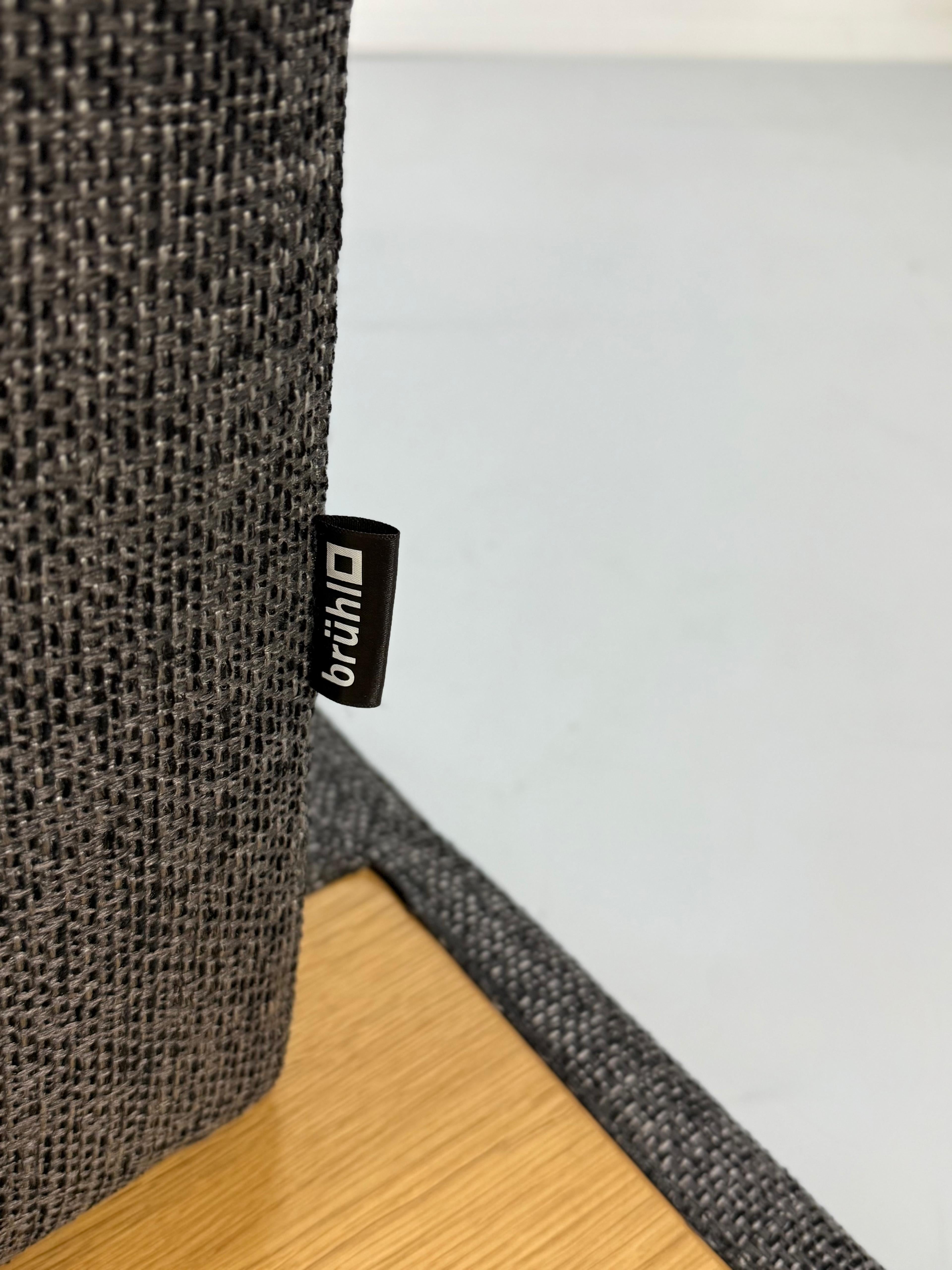 Ausstellungsstück Brühl Moule Designer Stoff Sofa in Grau vor einer Wand, stilvoll und modern eingerichtet.