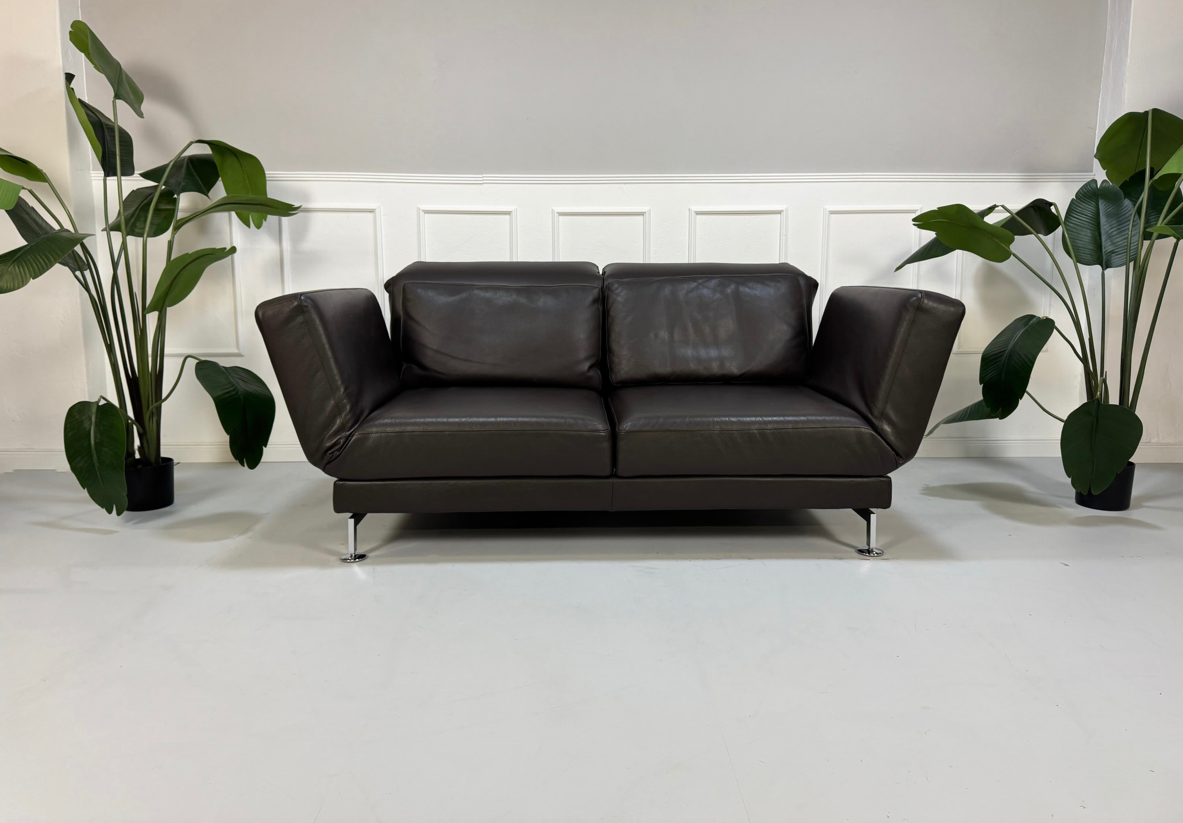 Gebrauchtes braunes Brühl Moule Designer Leder Sofa mit Schlaffunktion vor einer Wand, stilvoll und modern eingerichtet.