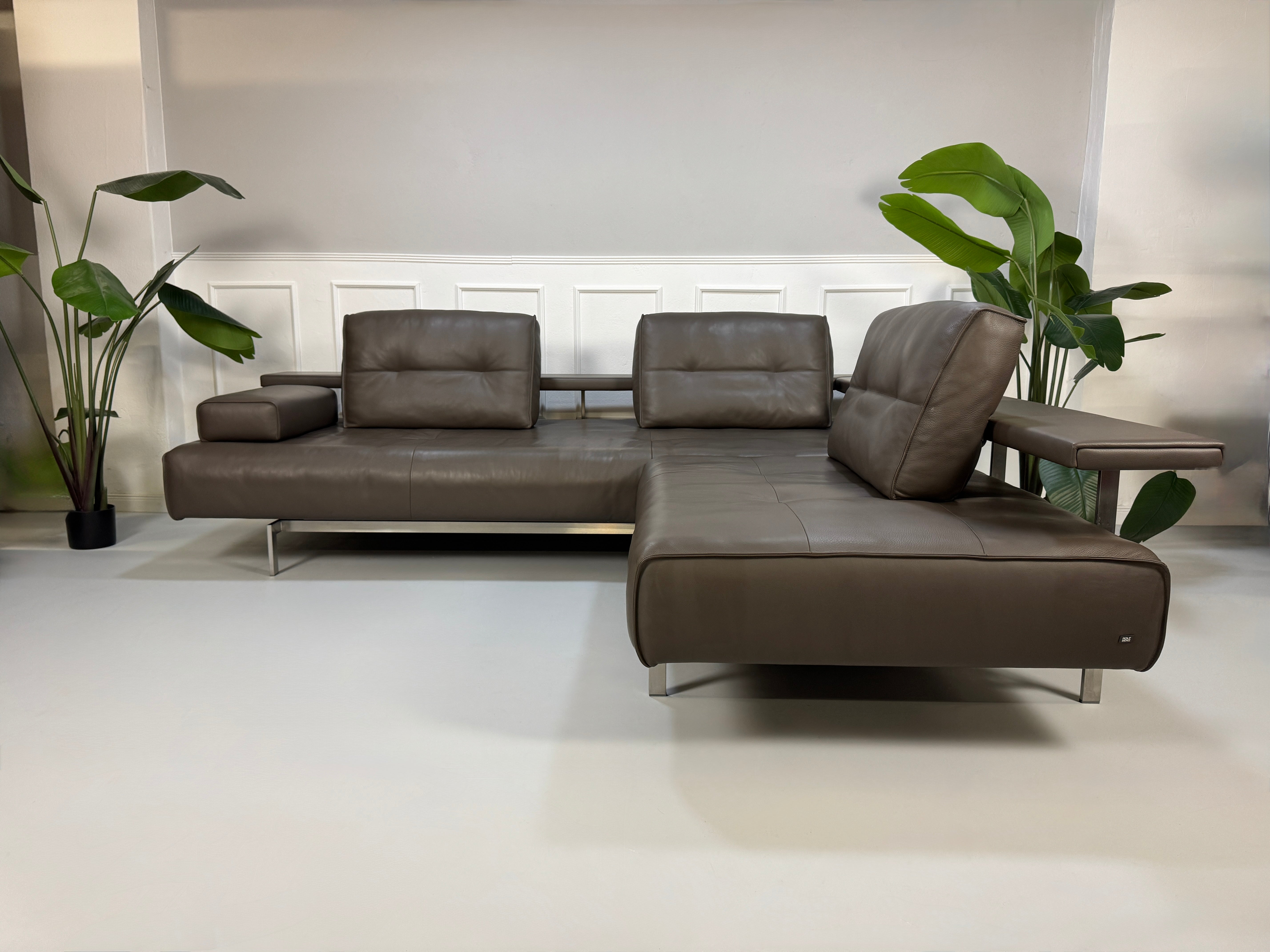 Rolf Benz Dono Designer Sofa Leder Braun