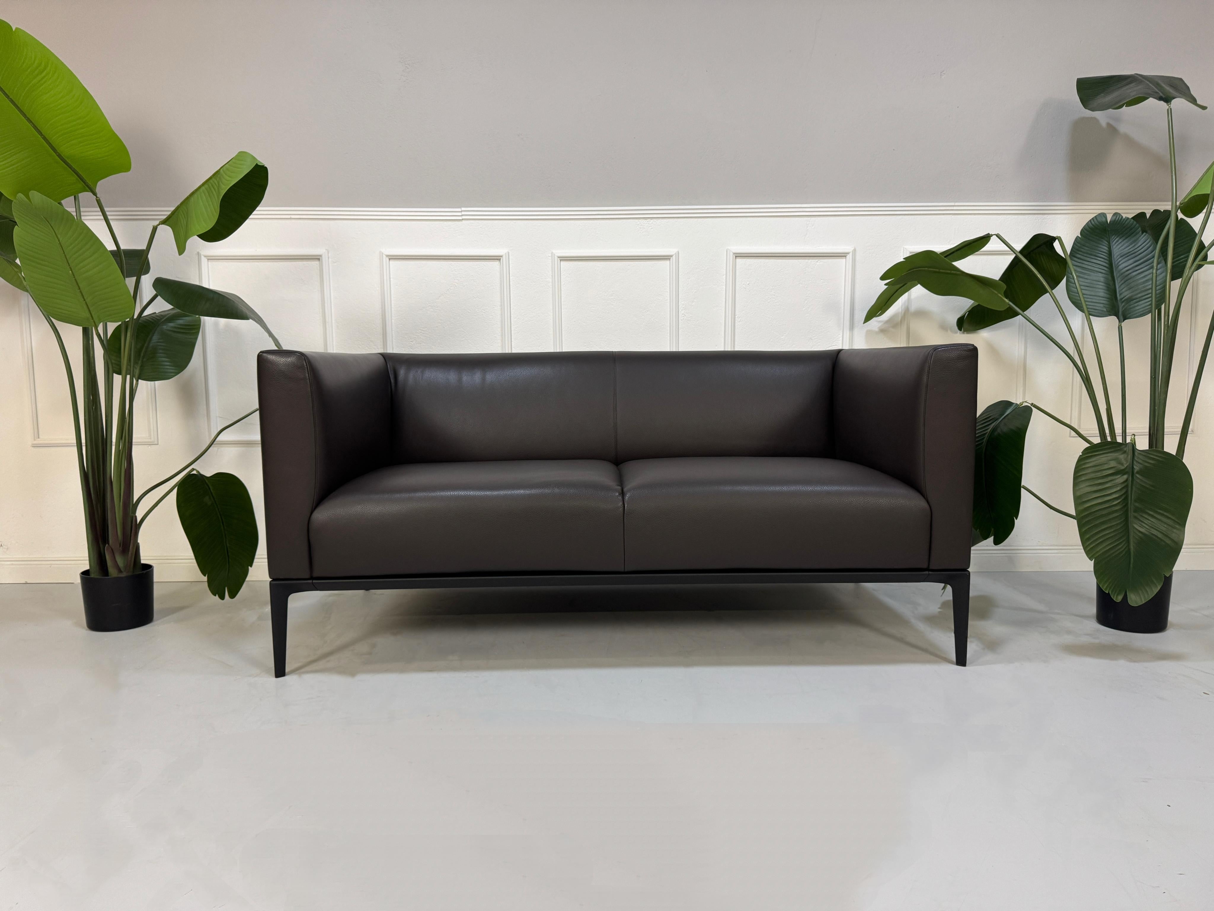 Gebrauchtes Walter Knoll Sofa in Leder steht vor einer Wand.