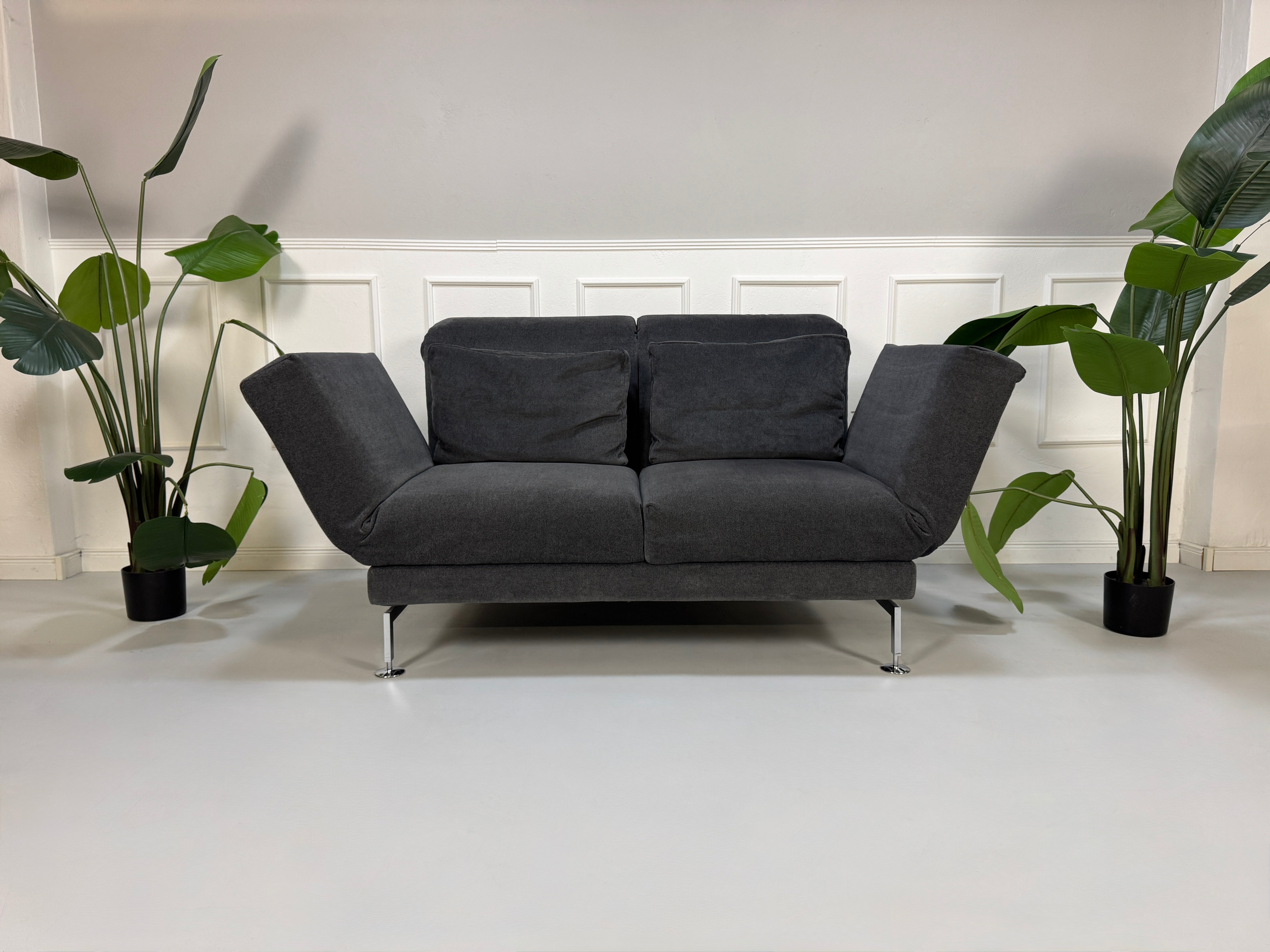 Gebrauchtes graues Stoffsofa Brühl Modell Moule Small vor einer modernen Wand