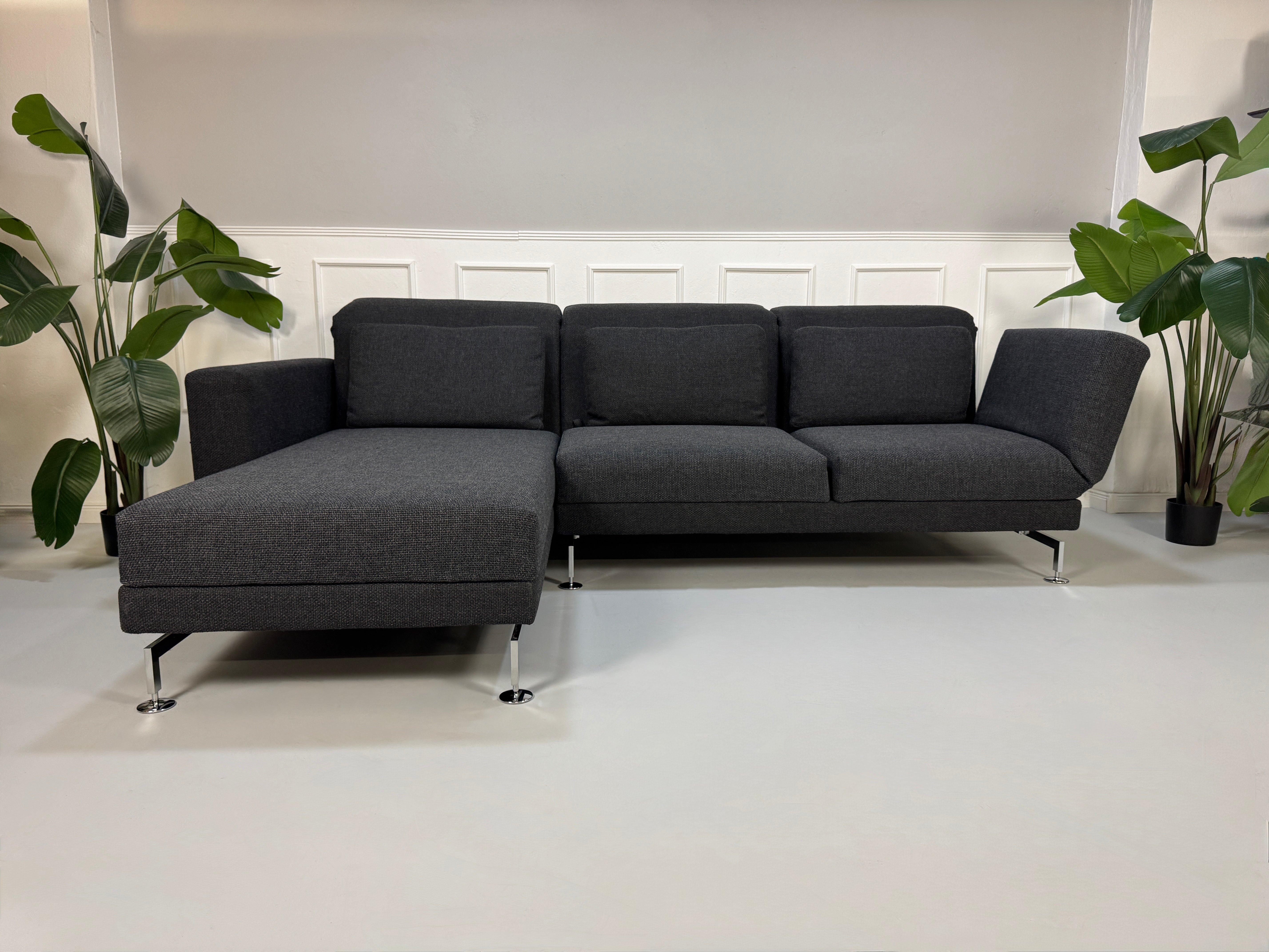 Ein graues Brühl Moule Designer Stoff Sofa vor einer Wand, stilvoll und modern eingerichtet.