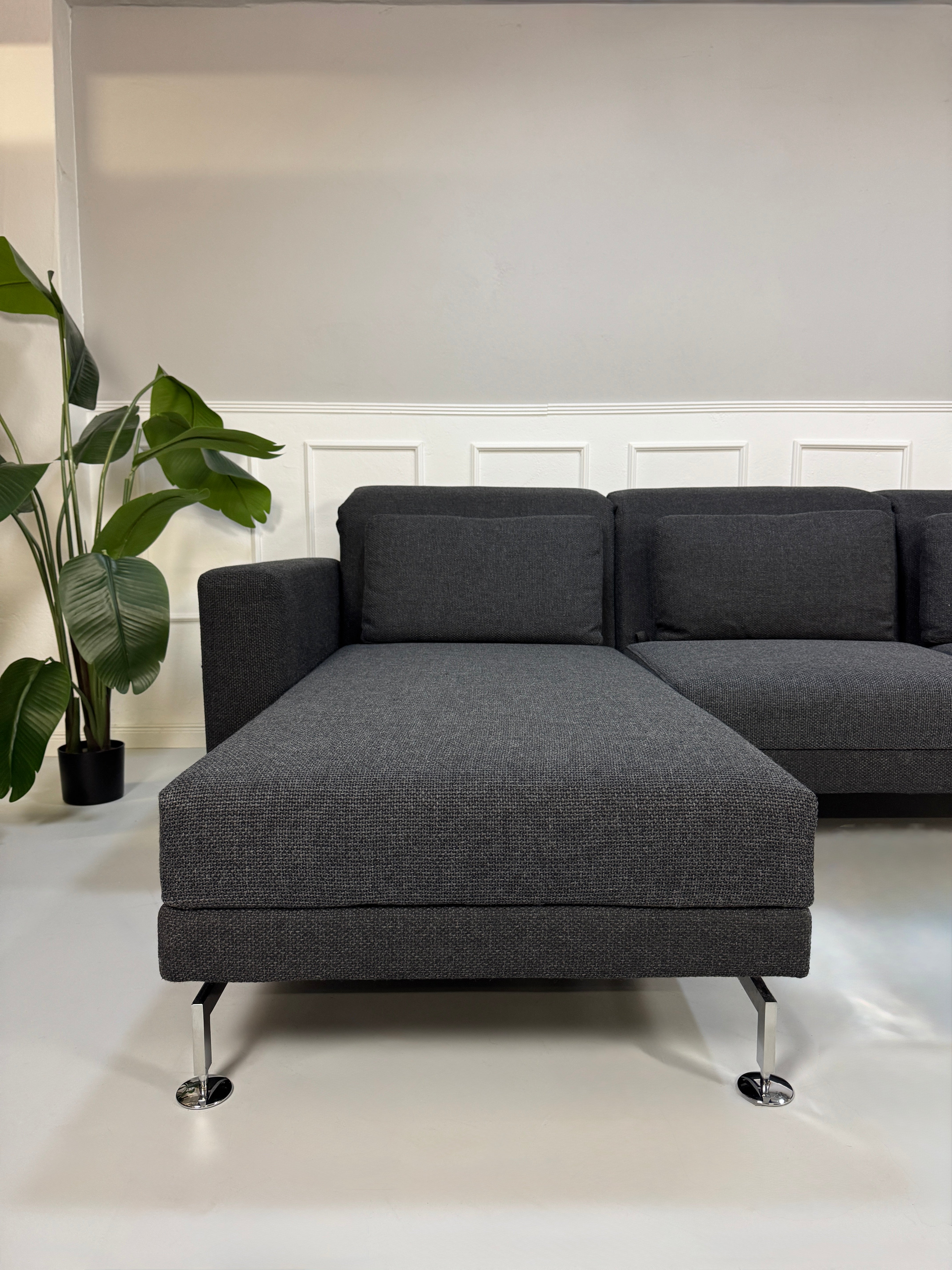 Ein graues Brühl Moule Designer Stoff Sofa vor einer Wand, stilvoll und modern eingerichtet.