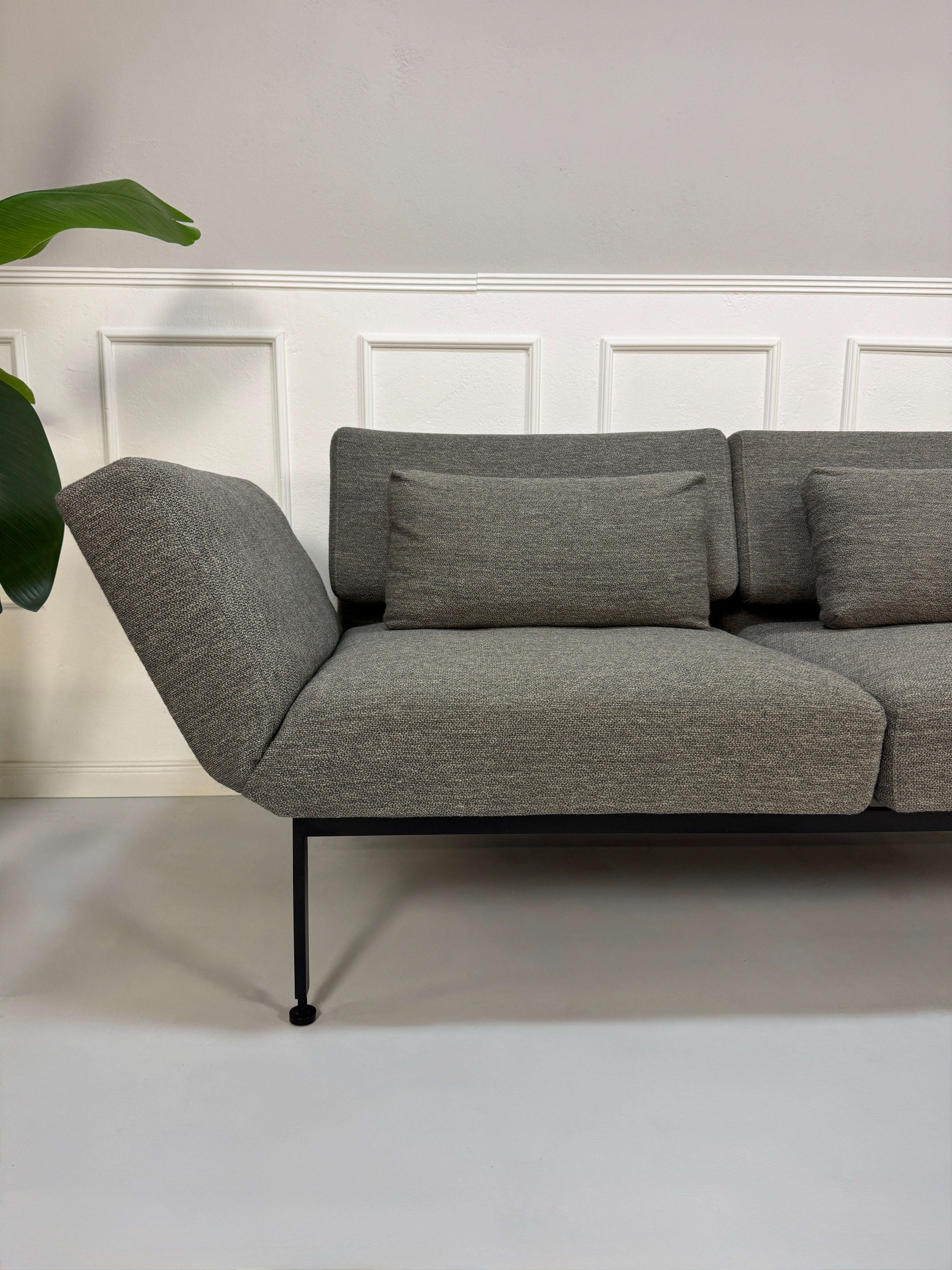 Gebrauchtes graues Stoffsofa Brühl Modell Roro Soft vor einer modernen Wand.