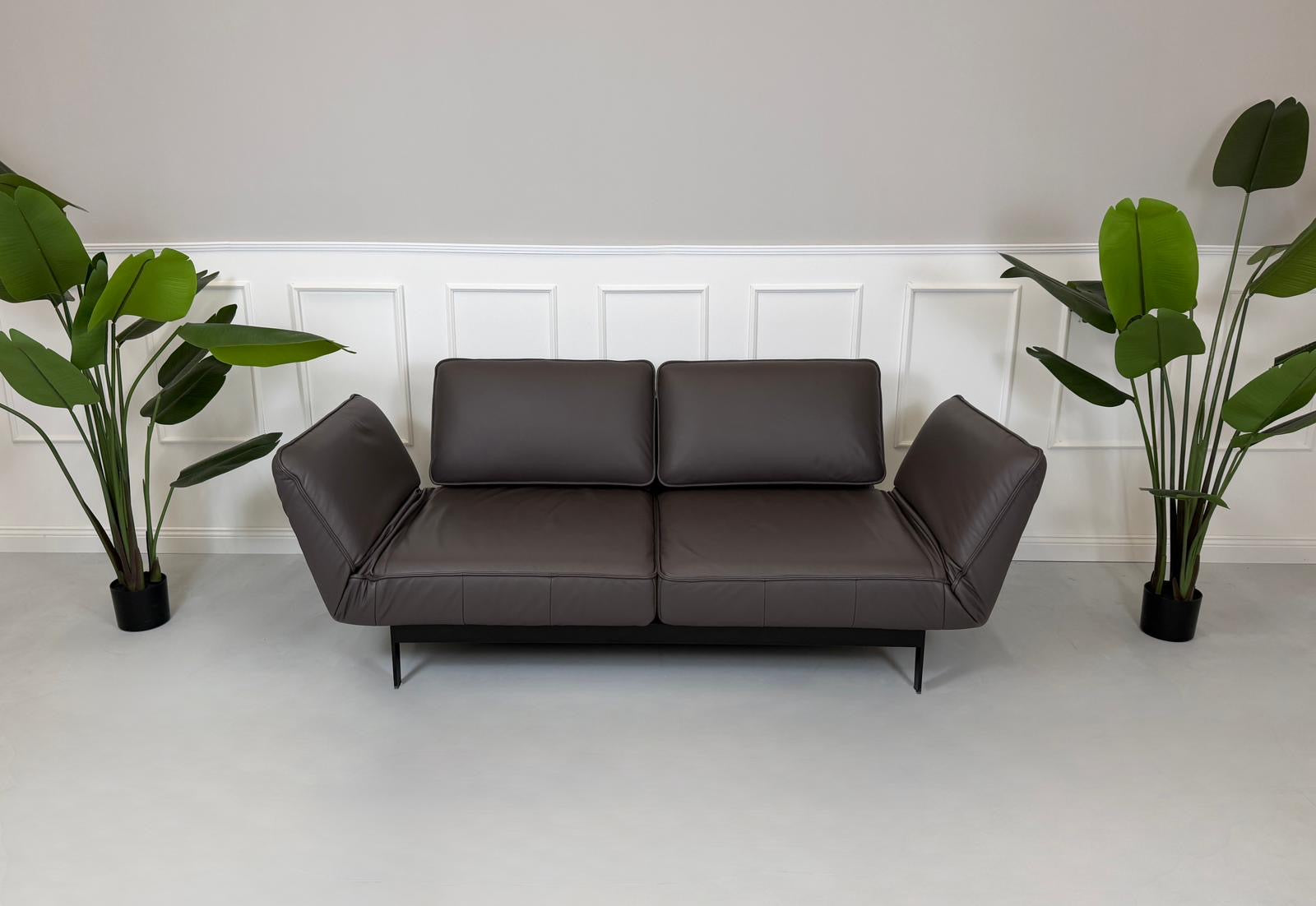 Gebrauchtes braunes Ledersofa Rolf Benz Modell Mera vor einer modernen Wand.
