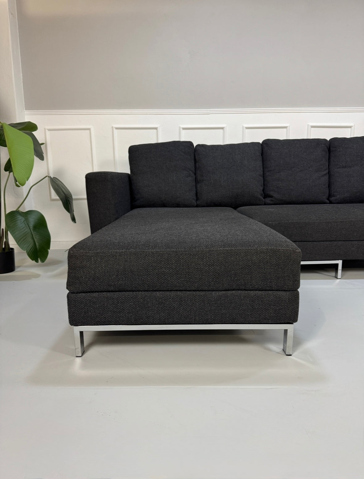 Gebrauchtes graues Stoffsofa Brühl Modell FourTwo vor einer modernen Wand.