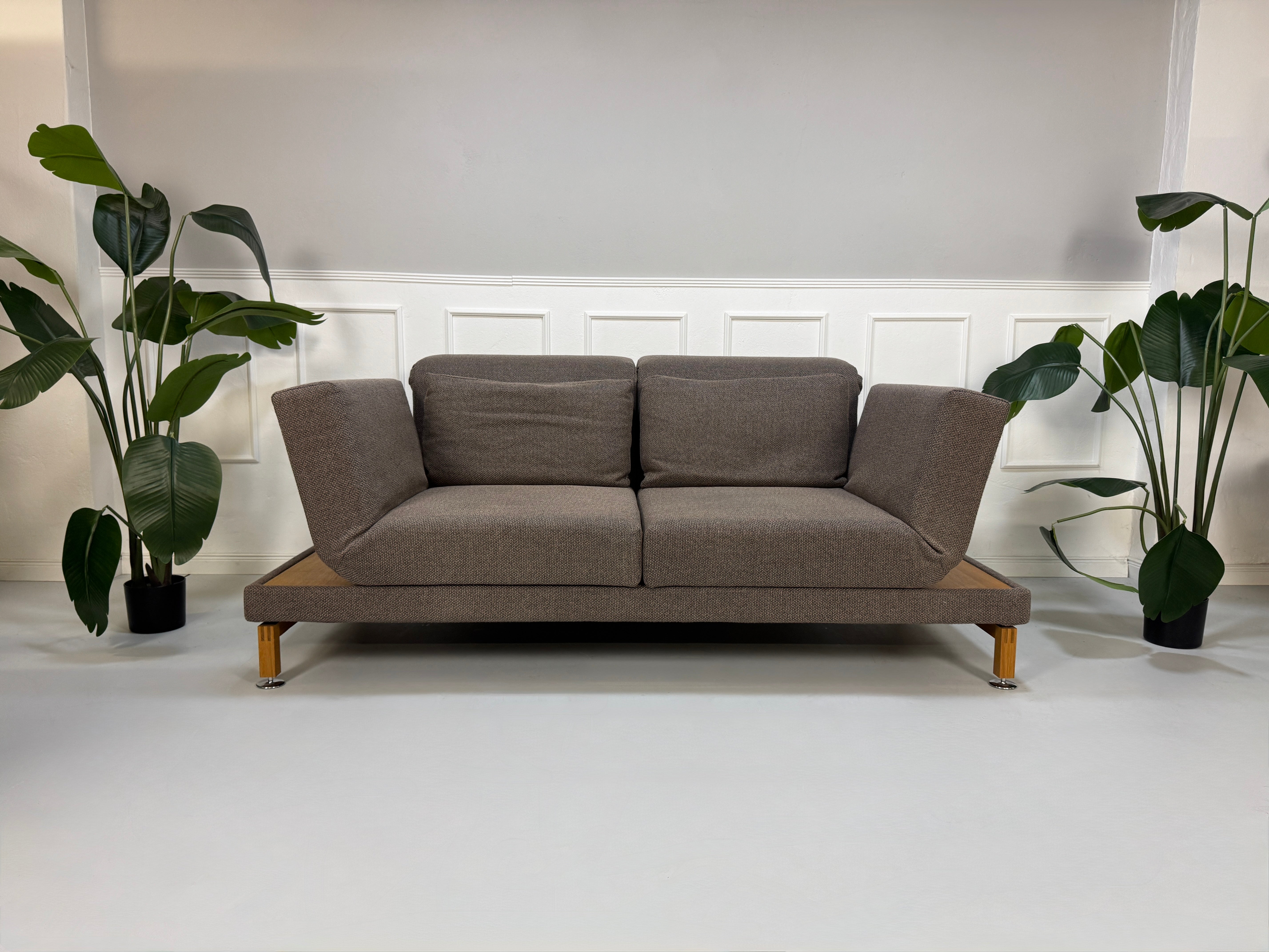 Gebrauchtes braunes Brühl Moule Designer Stoff Sofa vor einer Wand, stilvoll und modern eingerichtet.