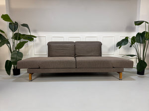 Gebrauchtes braunes Brühl Moule Designer Stoff Sofa vor einer Wand, stilvoll und modern eingerichtet.