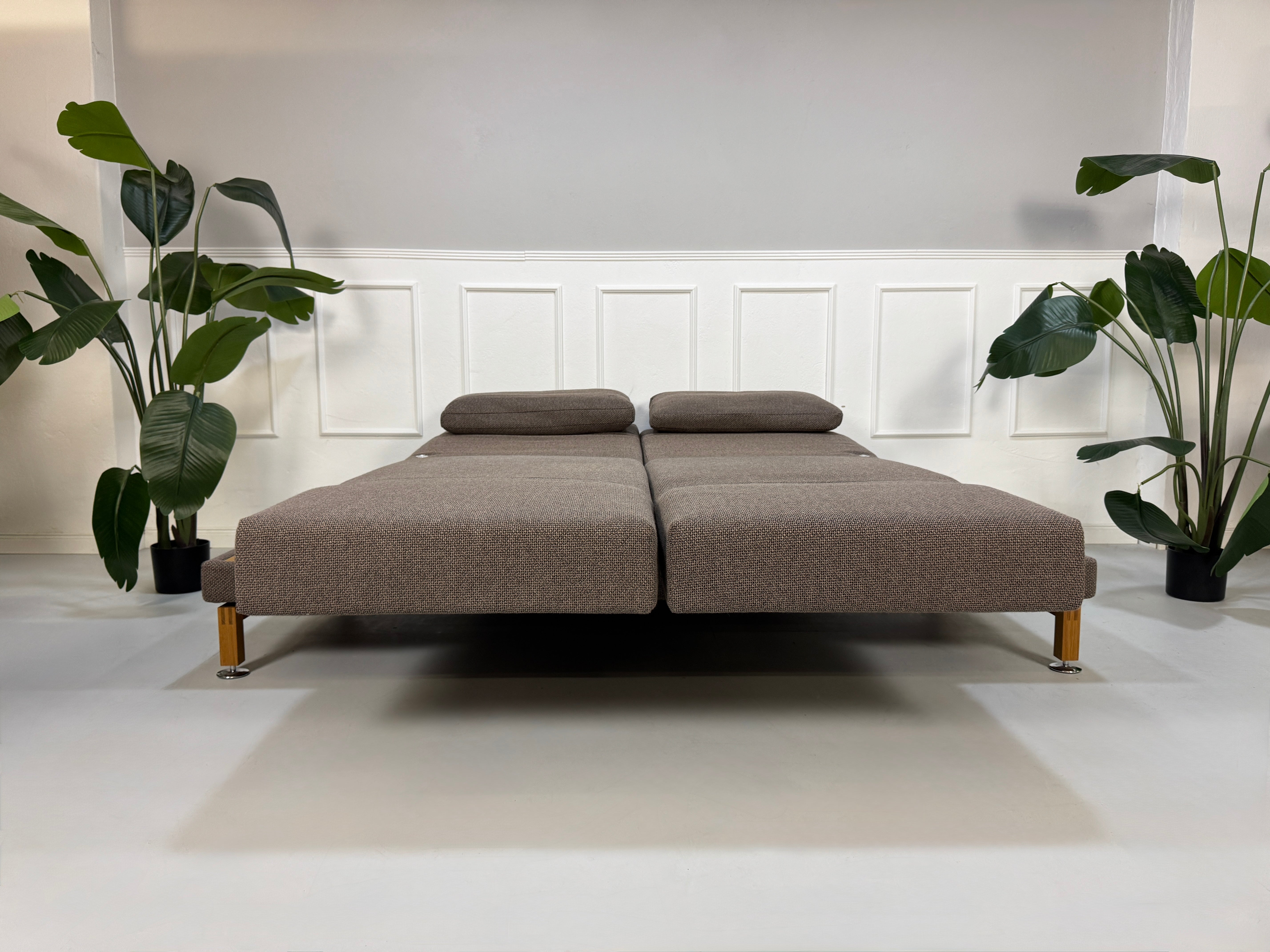Gebrauchtes braunes Brühl Moule Designer Stoff Sofa vor einer Wand, stilvoll und modern eingerichtet.