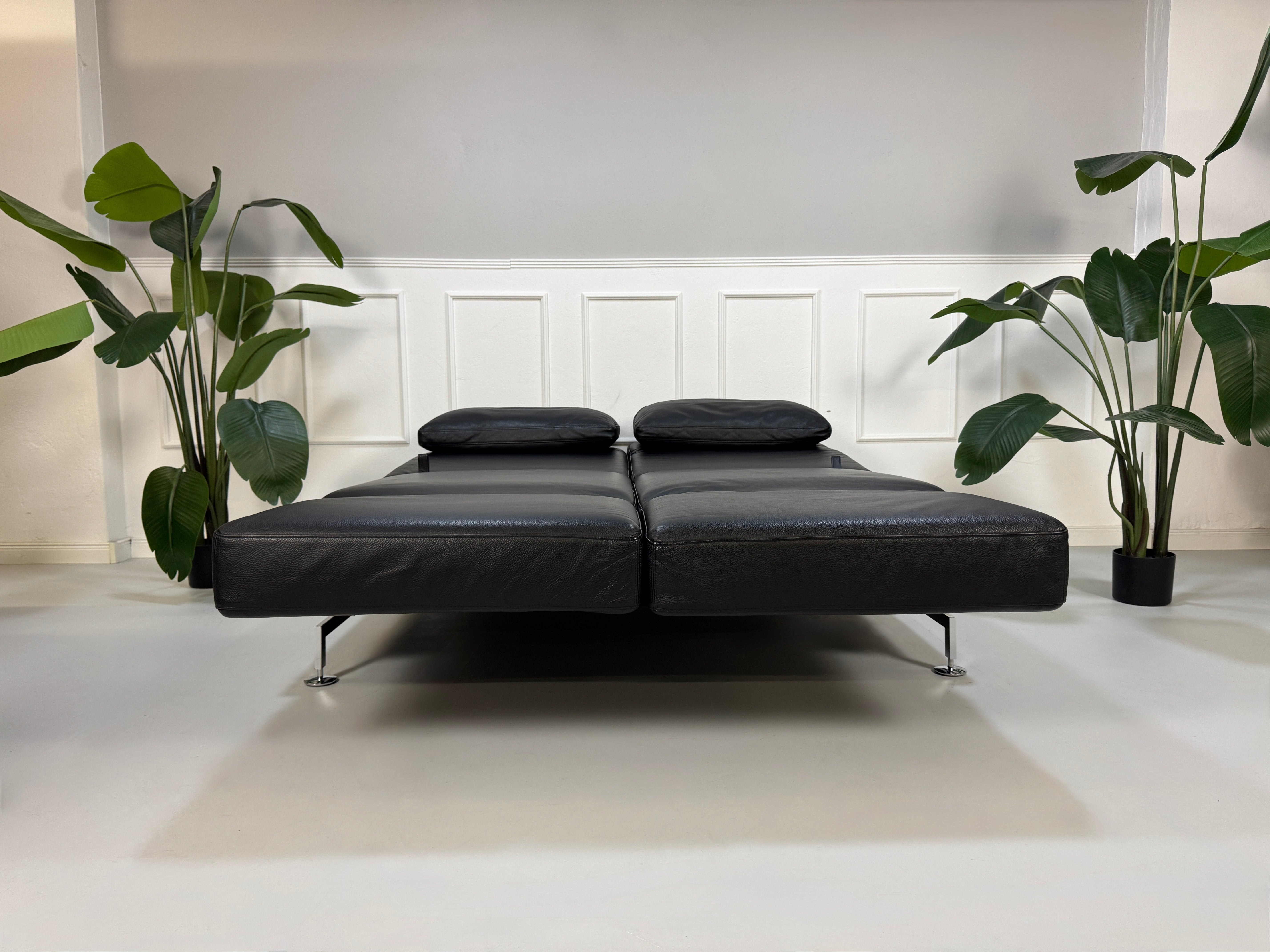 Gebrauchtes schwarzes Ledersofa Brühl Modell Moule vor einer modernen Wand.