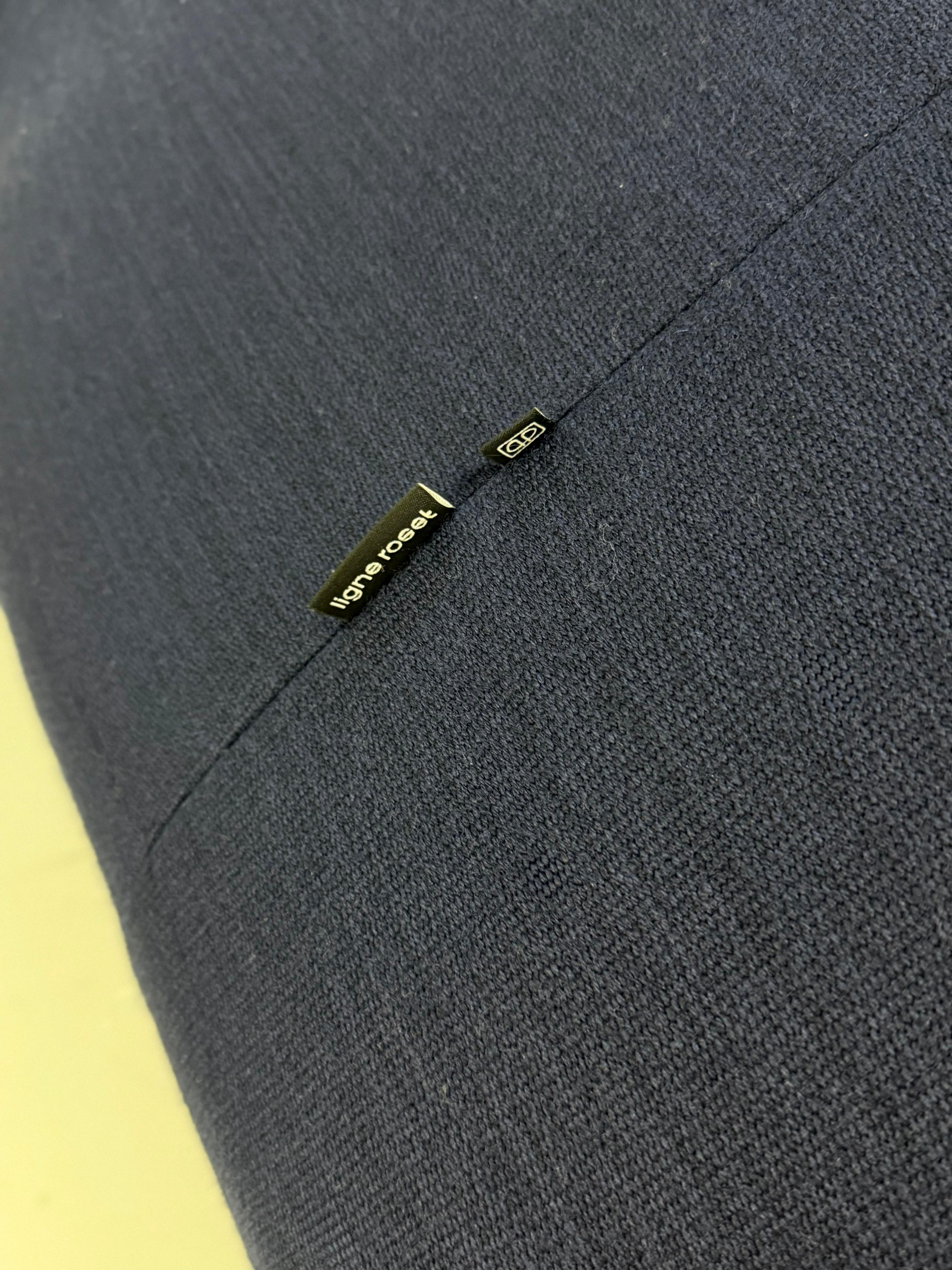 Gebrauchtes blaues Stoff Sofa Ligne Roset Pumpkin vor einer modernen Wand.