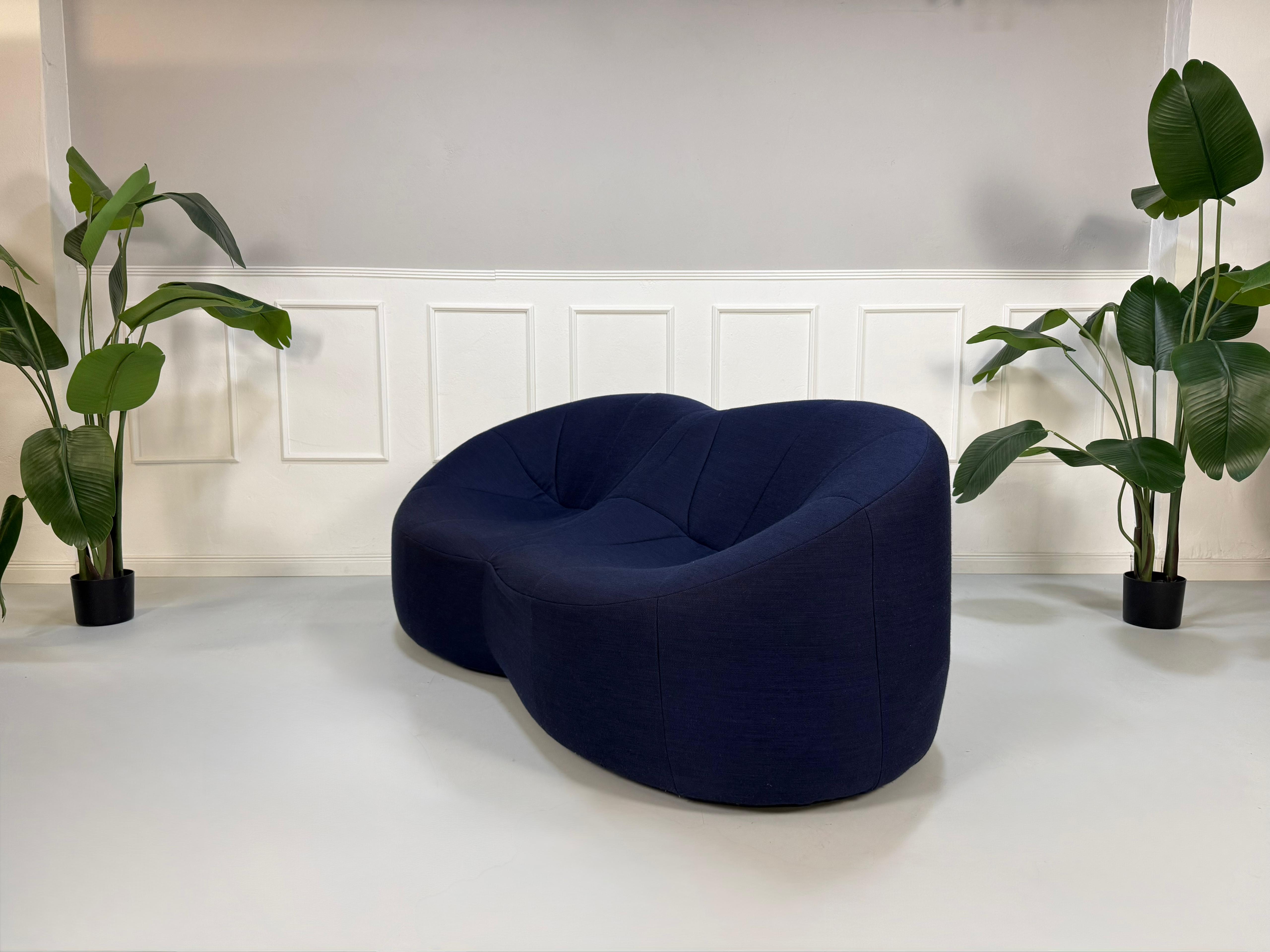 Gebrauchtes blaues Stoff Sofa Ligne Roset Pumpkin vor einer modernen Wand.