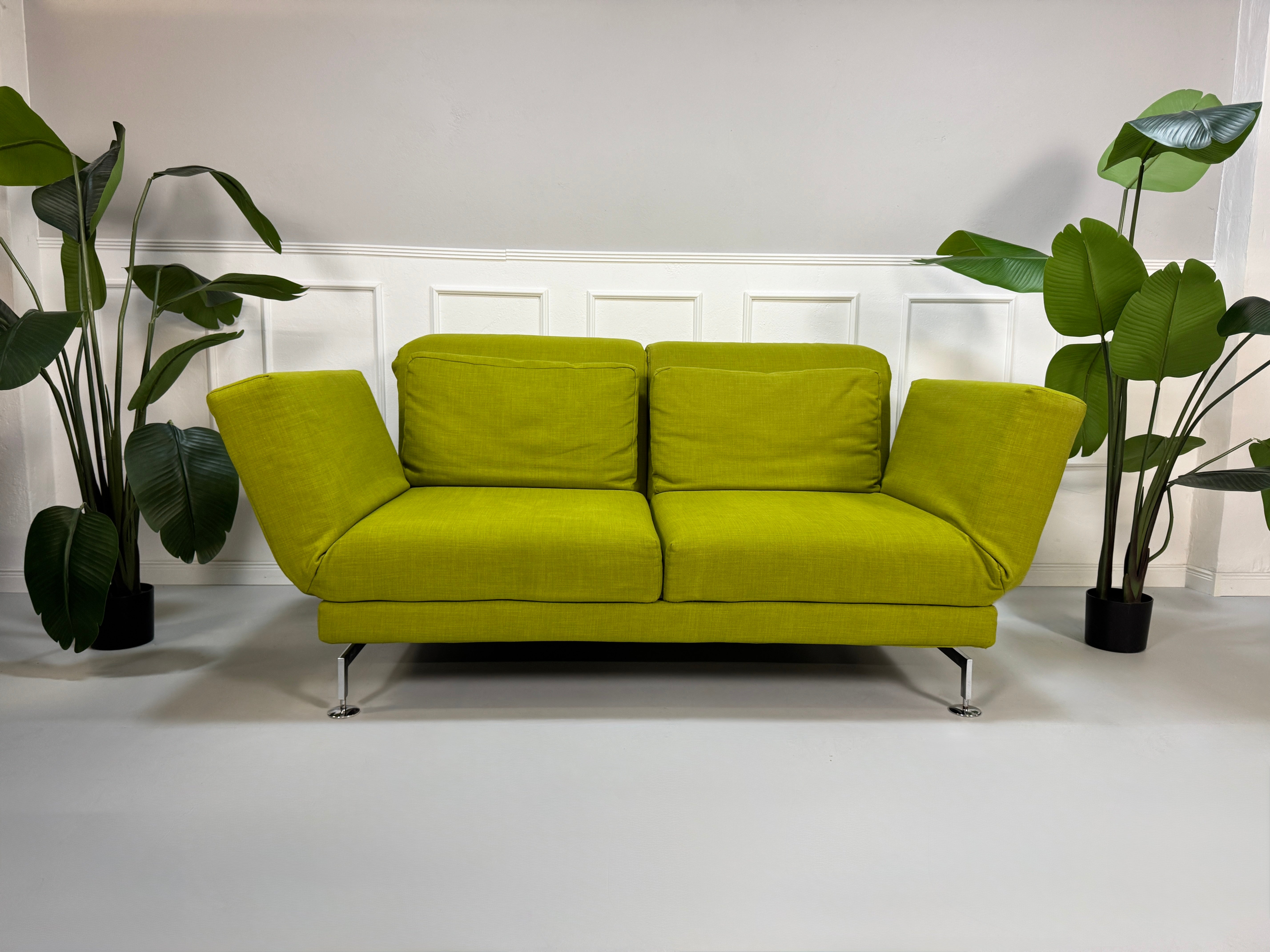 Gebrauchtes grünes Stoff Sofa Brühl Modell Moule vor einer modernen Wand.