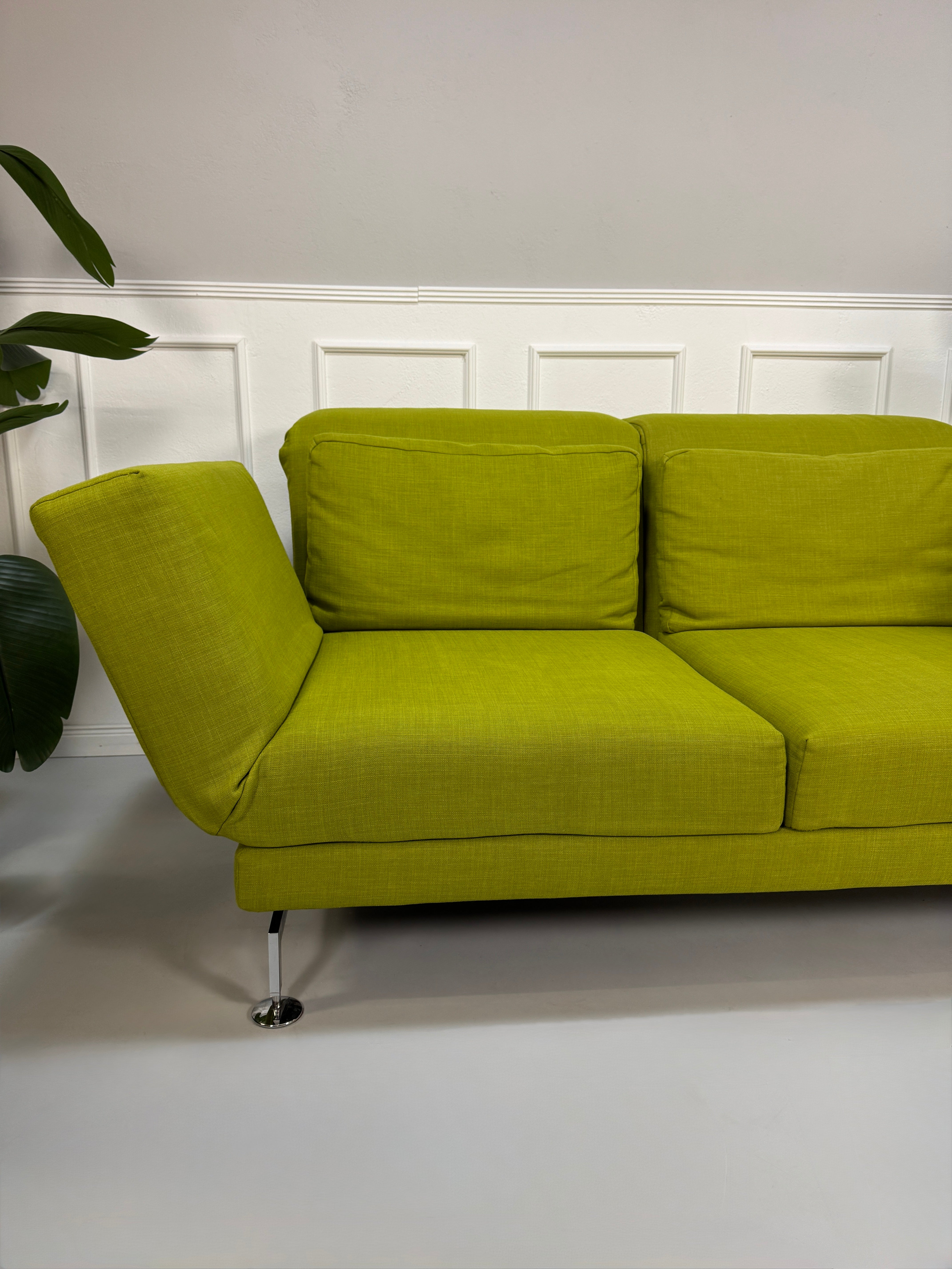 Gebrauchtes grünes Stoff Sofa Brühl Modell Moule vor einer modernen Wand.