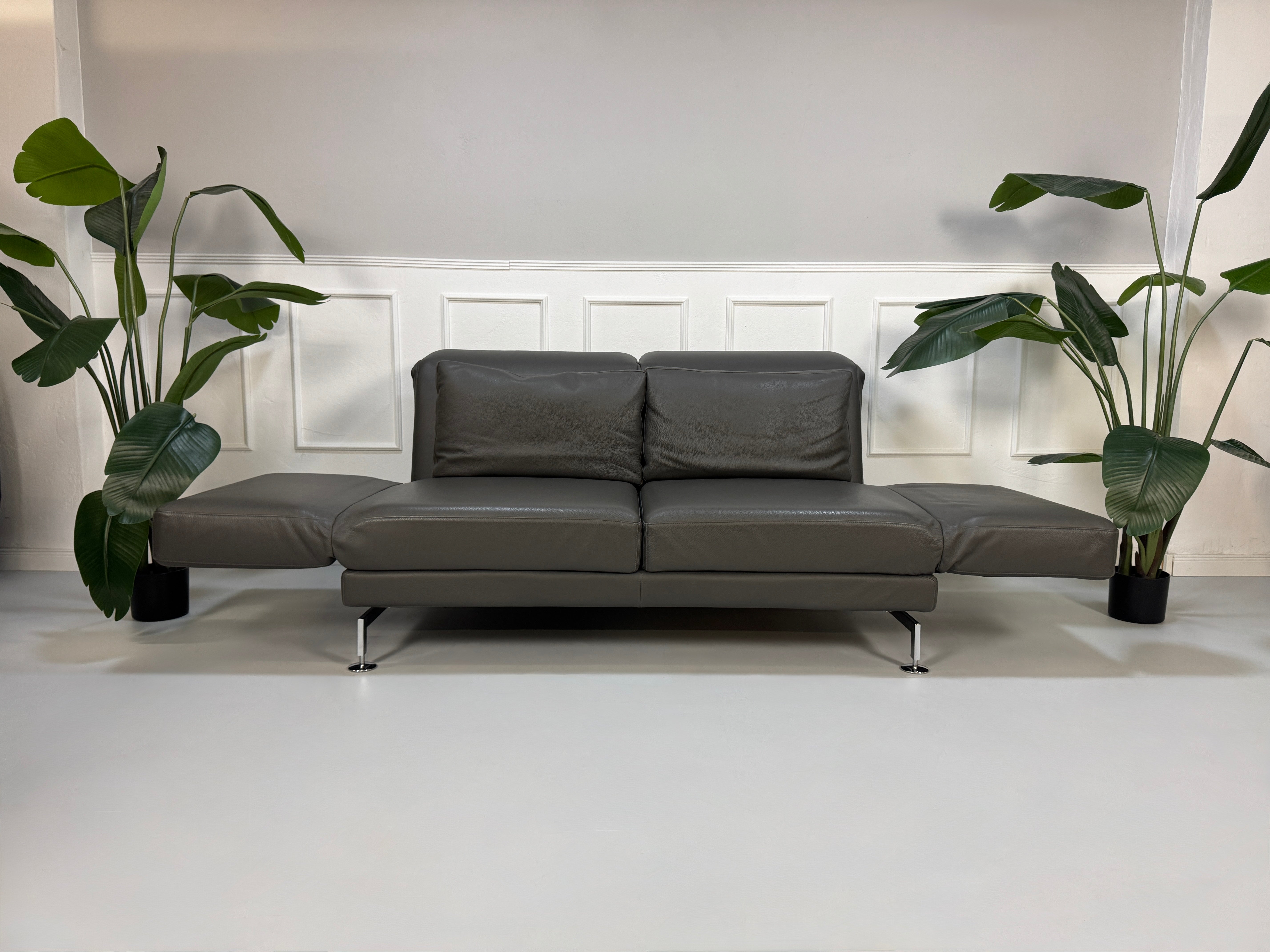 Gebrauchtes graues Brühl Moule Designer Leder Sofa vor einer Wand, stilvoll und modern eingerichtet.