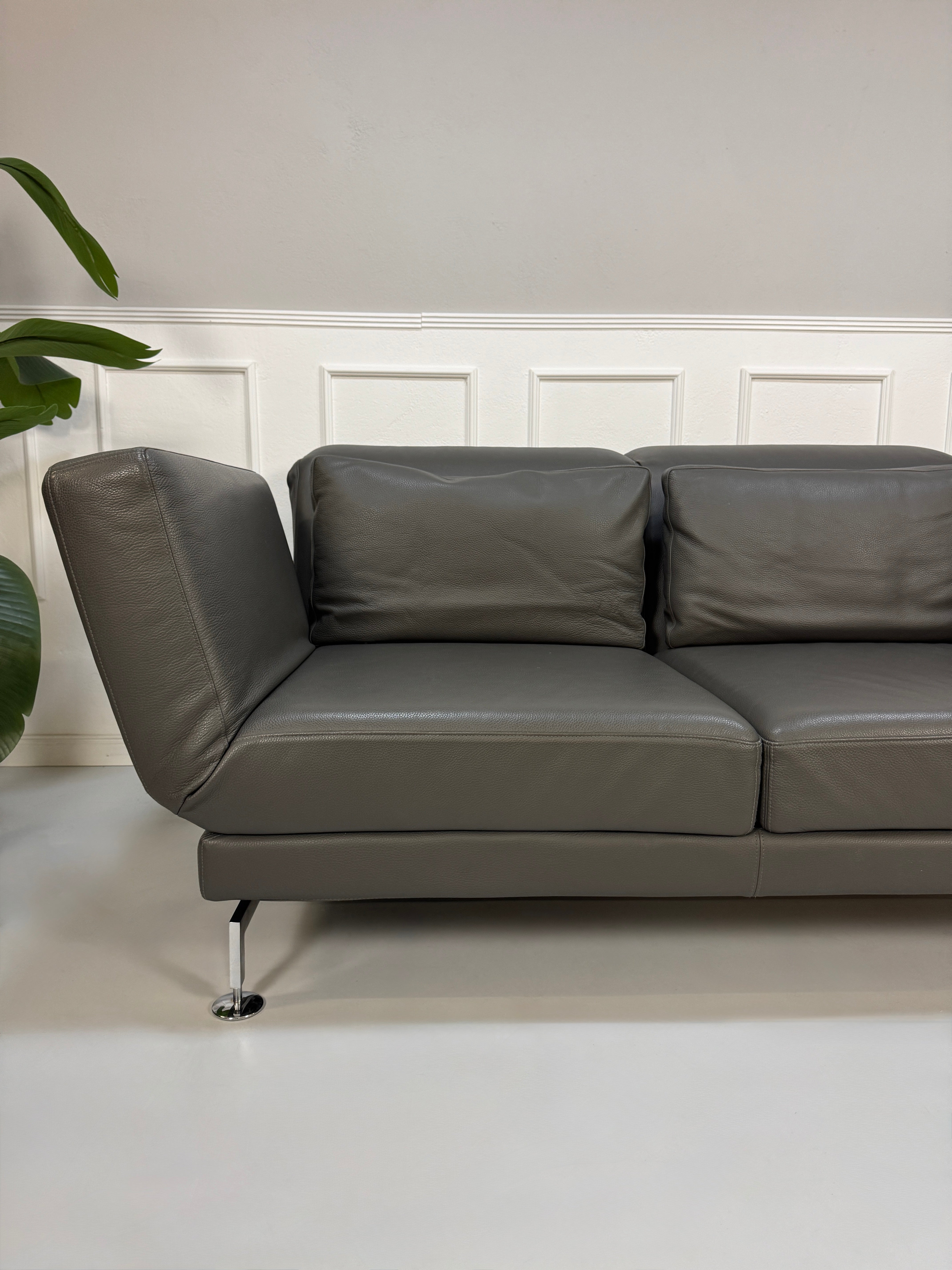 Gebrauchtes graues Brühl Moule Designer Leder Sofa vor einer Wand, stilvoll und modern eingerichtet.