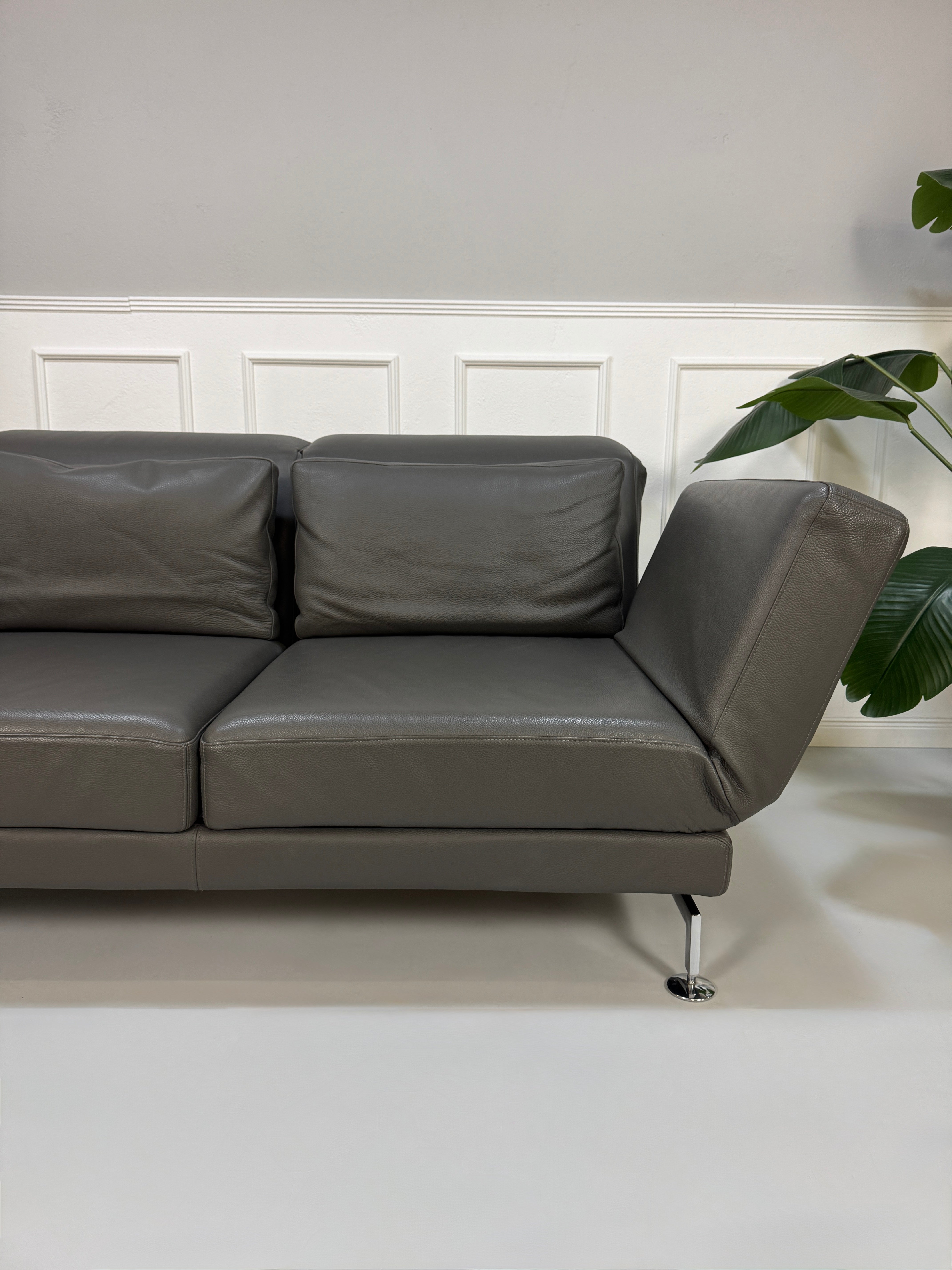 Gebrauchtes graues Brühl Moule Designer Leder Sofa vor einer Wand, stilvoll und modern eingerichtet.