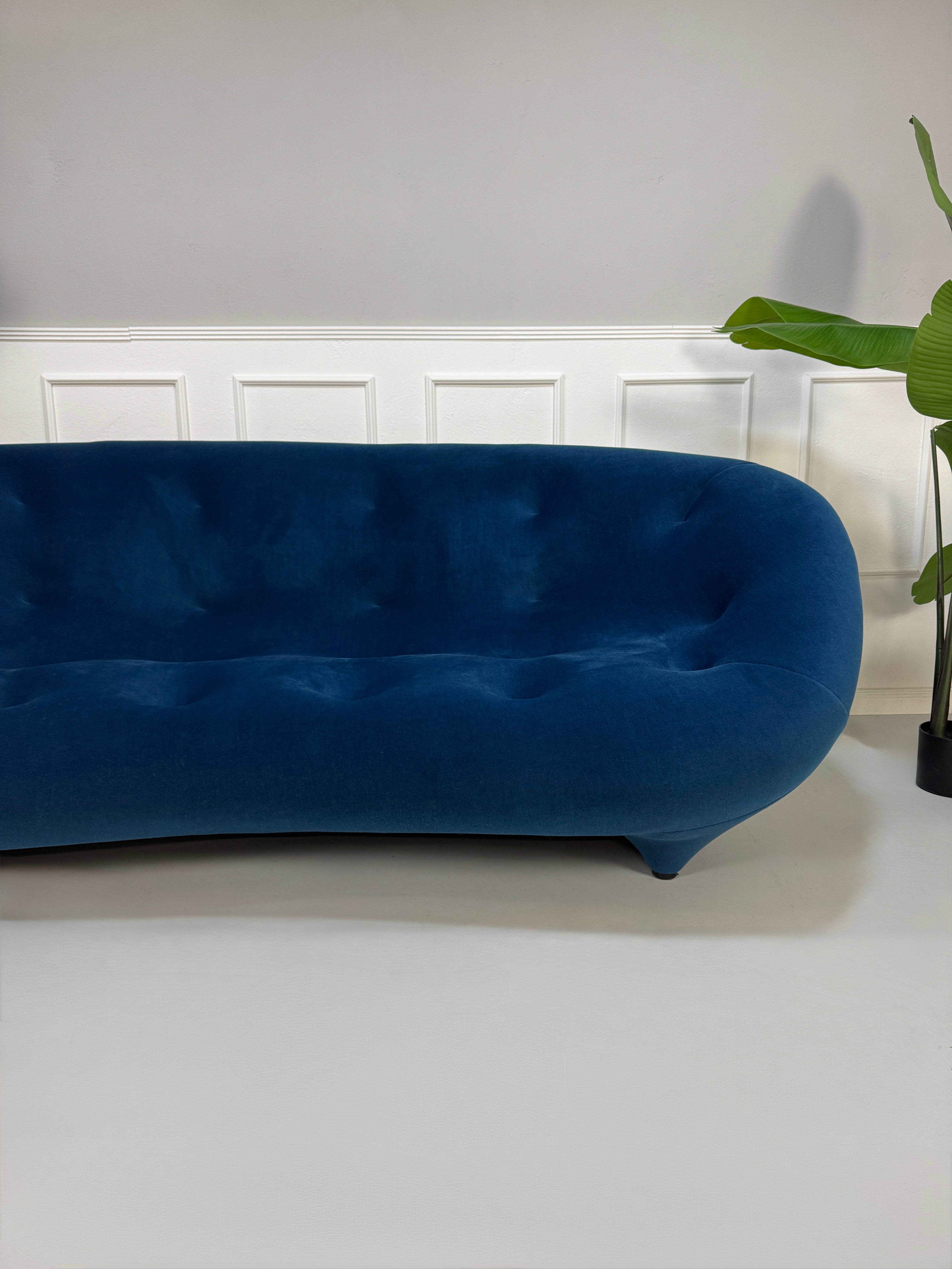 Gebrauchtes blaues Stoff Sofa Ligne Roset Modell Ploum vor einer modernen Wand.