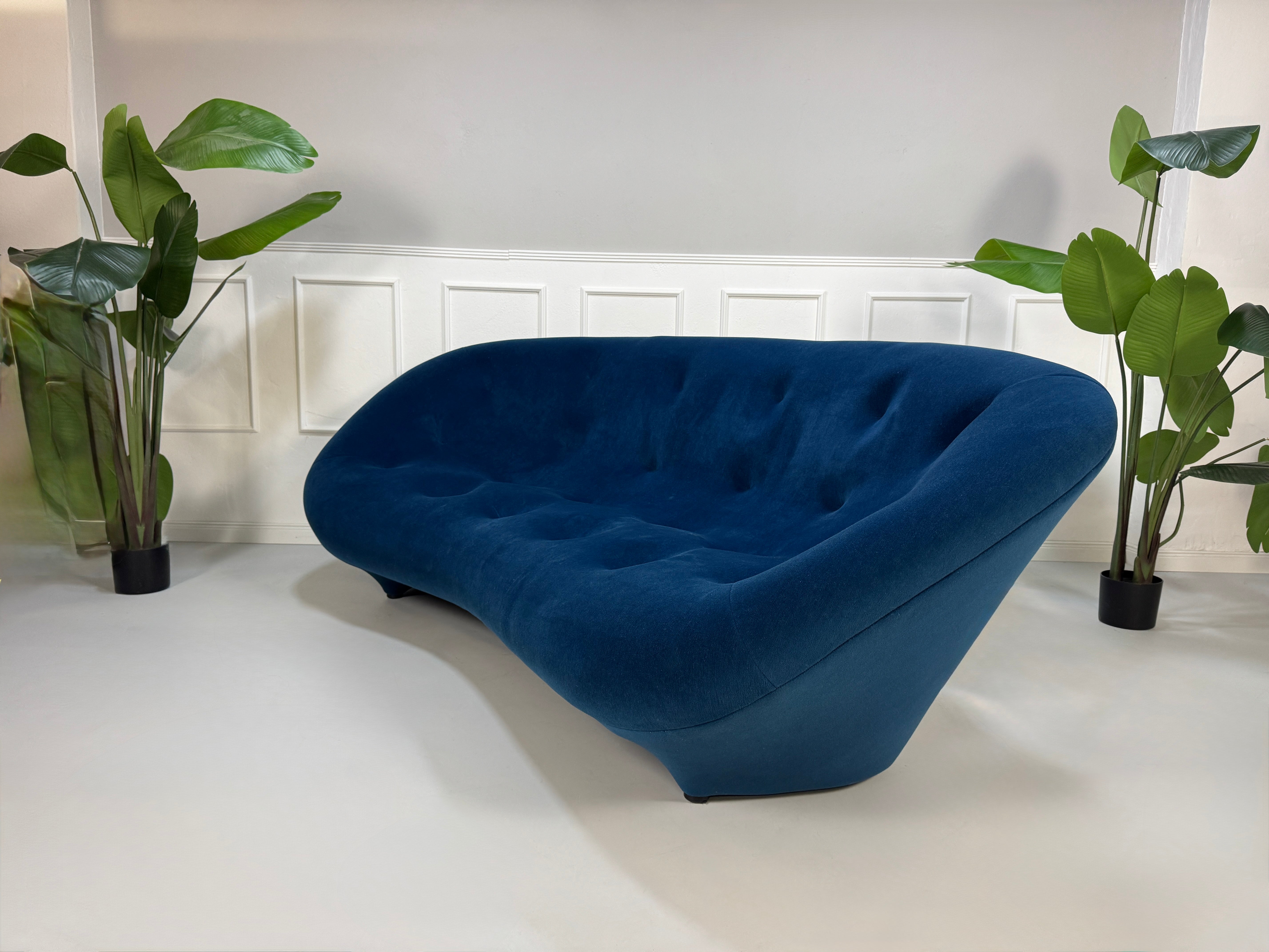 Gebrauchtes blaues Stoff Sofa Ligne Roset Modell Ploum vor einer modernen Wand.