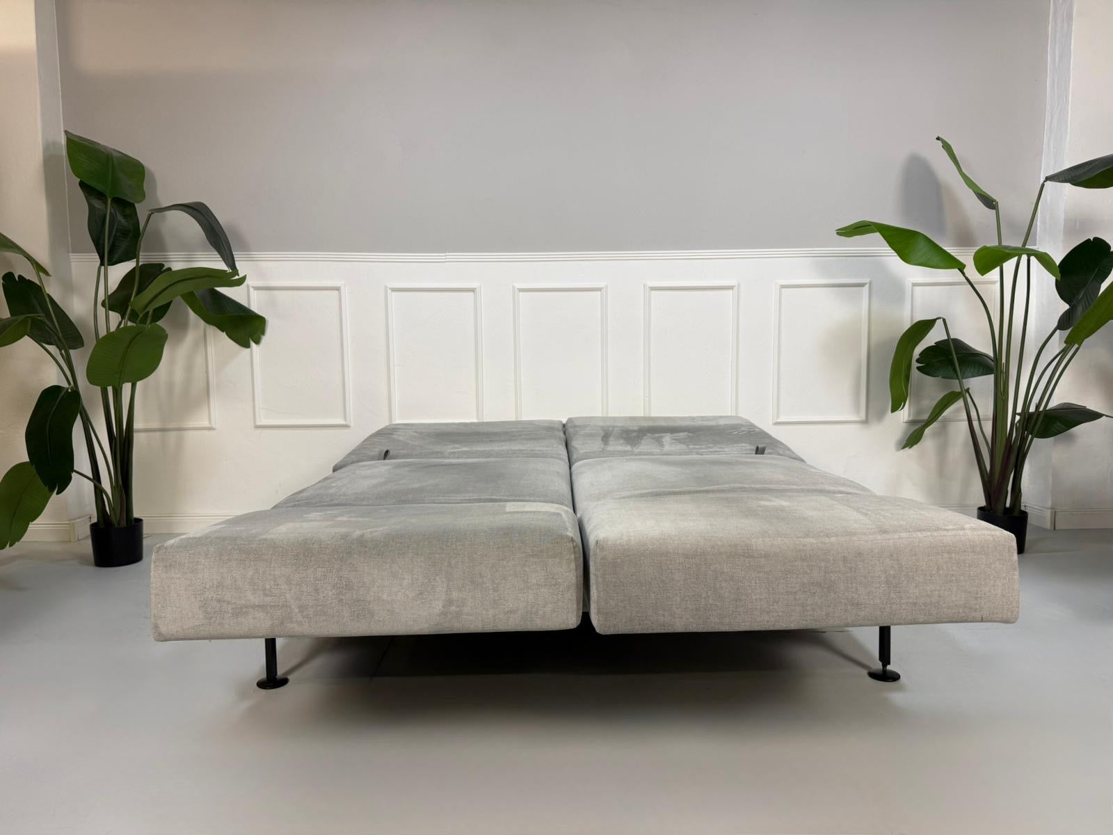 Gebrauchtes graues Brühl Moule Designer Stoff Sofa vor einer Wand, stilvoll und modern eingerichtet.