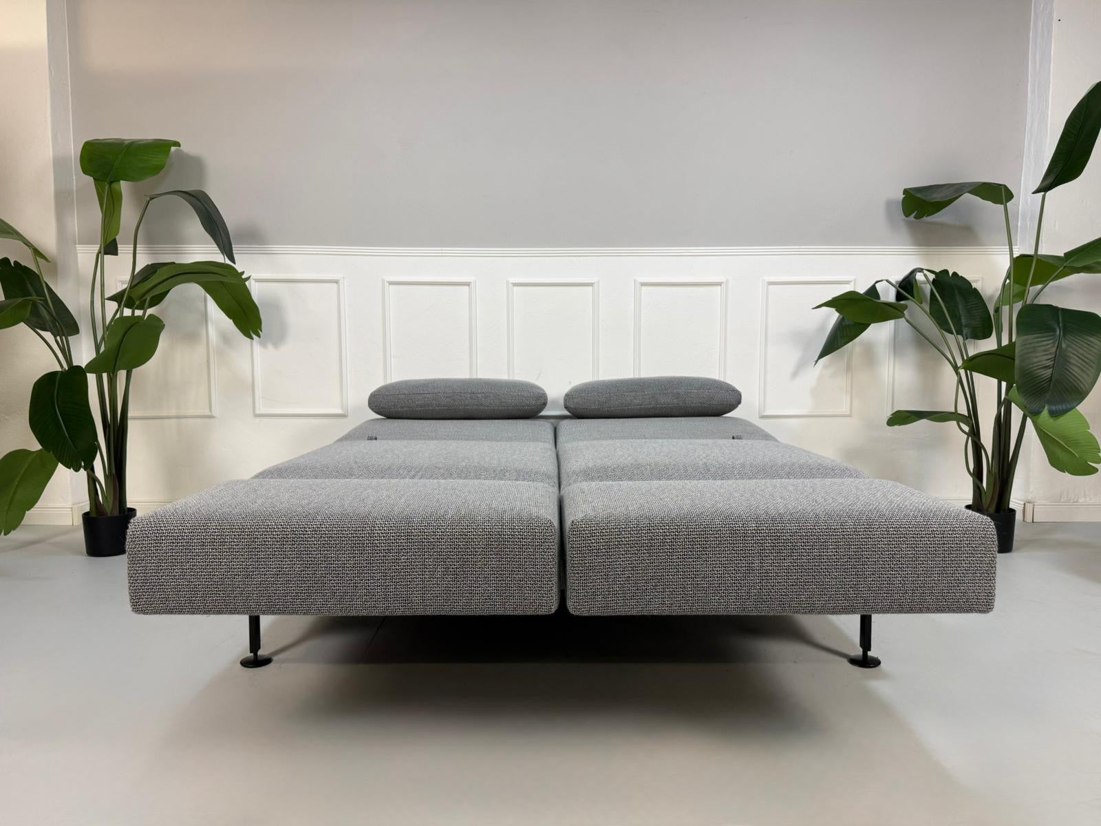 Gebrauchtes Brühl Moule Designer Stoff Sofa als Ausstellungsstück in der Farbe Grau vor einer Wand, stilvoll und modern eingerichtet.