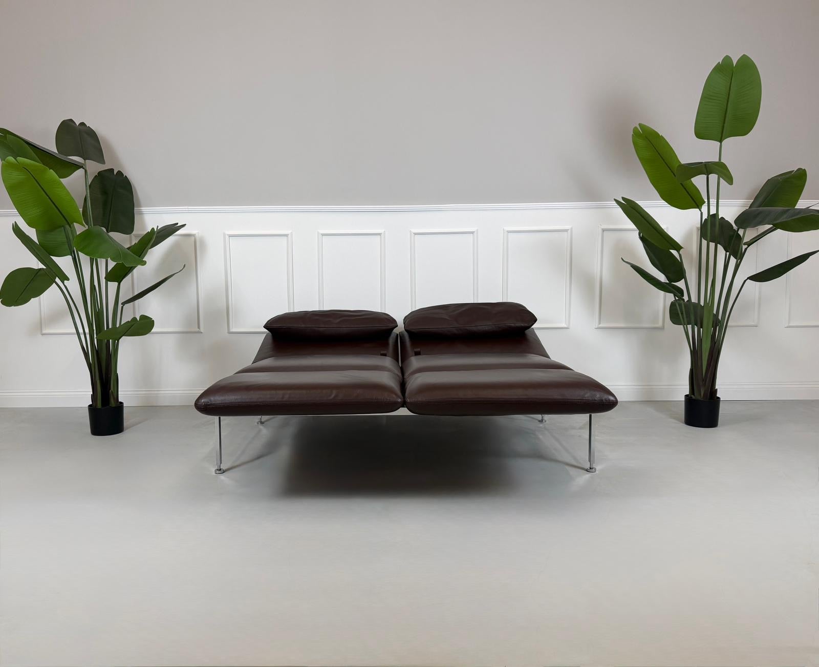 Gebrauchtes Brühl Roro Designer Leder Sofa in der Farbe Braun vor einer Wand, stilvoll und modern eingerichtet.