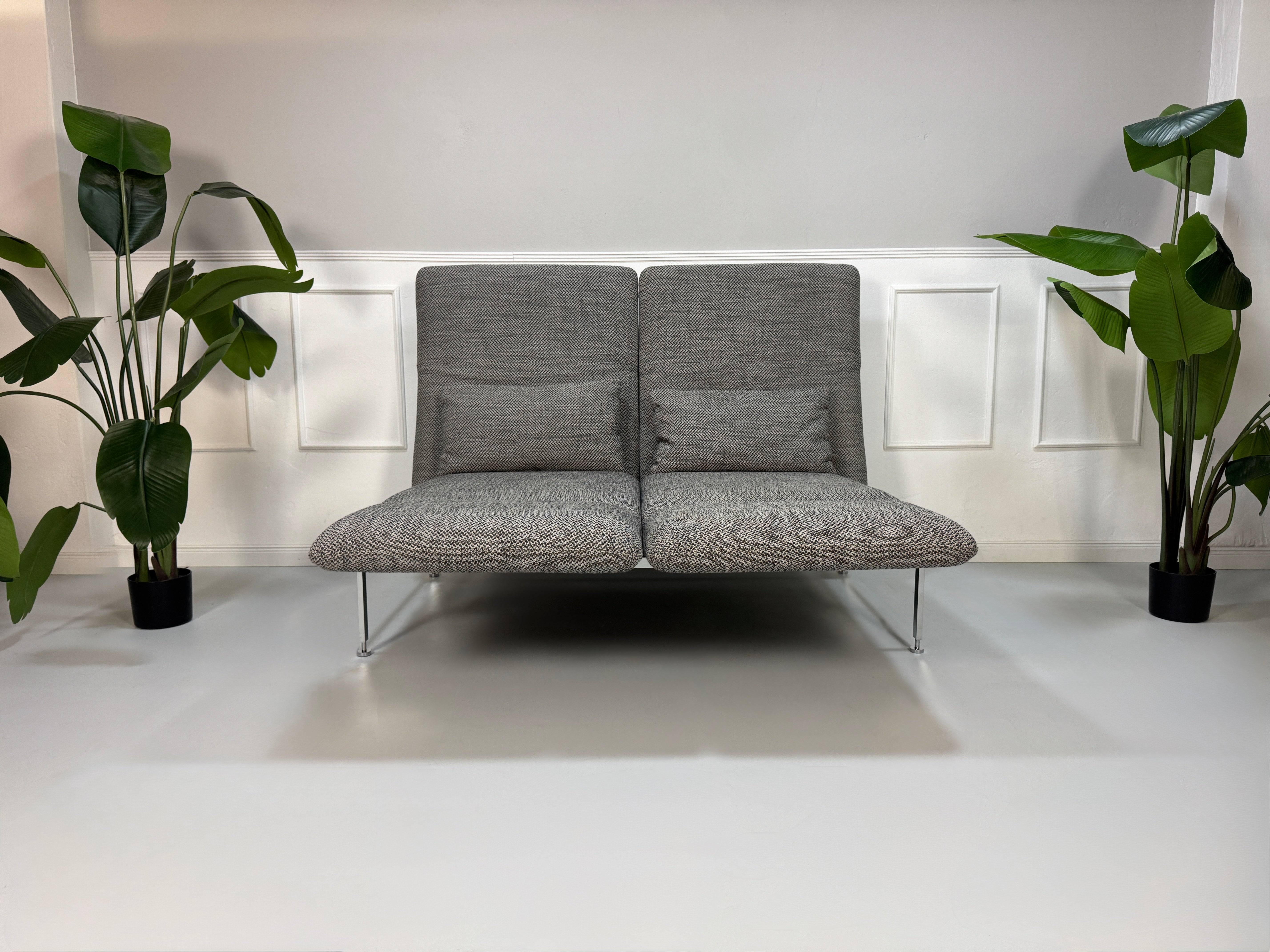 Gebrauchtes Brühl Roro Designer Stoff Sofa in der Farbe Grau vor einer Wand, stilvoll und modern eingerichtet.